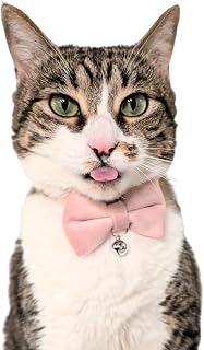 Pink Velvet Bowtie Cat Collar with Bell & D-Ring for Adult Cats | Breakaway safety buckle for secure, everyday wear