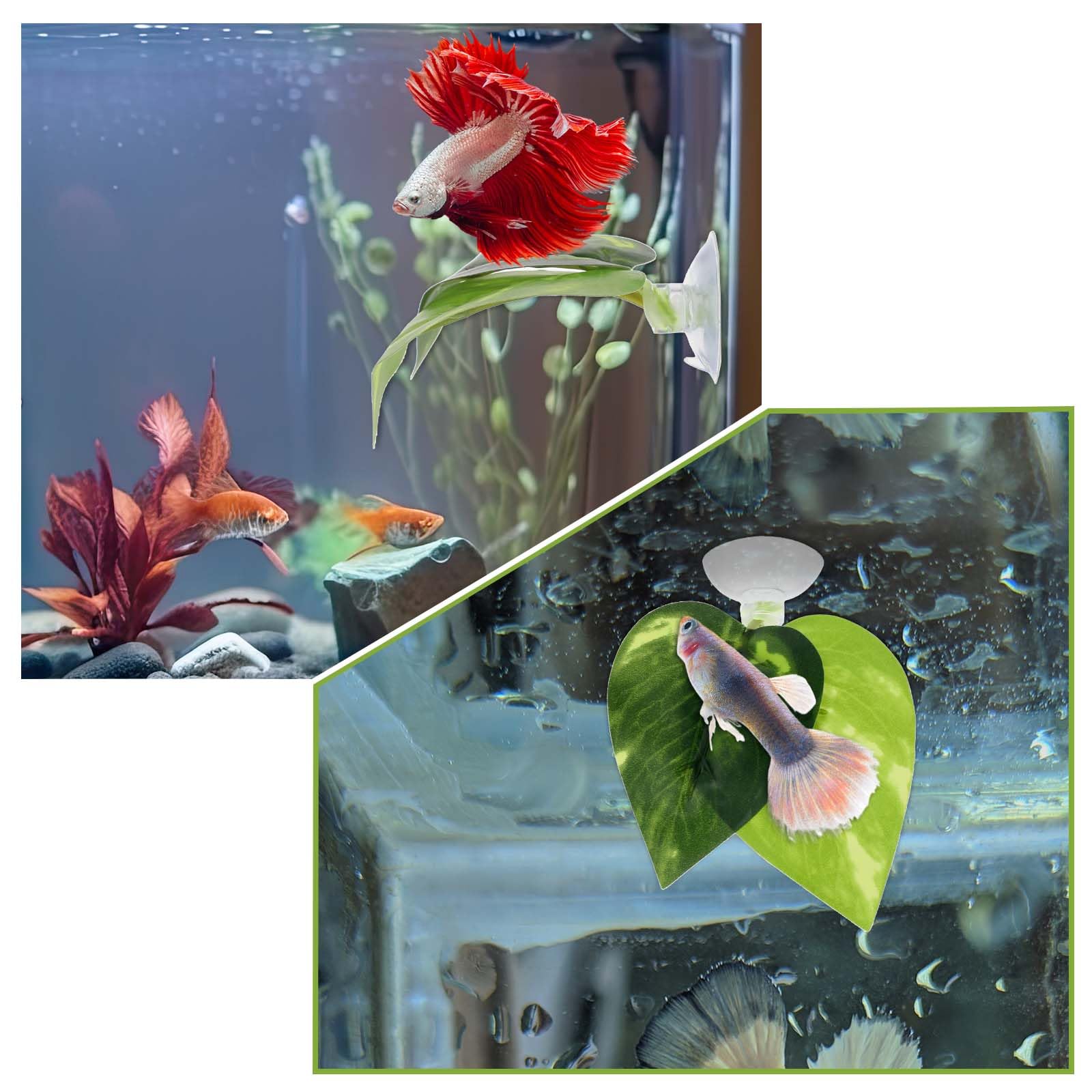 3Pcs Betta Fish Tank Decorations Small,Fish Tank Decorations Betta Fishes Leaf Pad Small Aquarium Artificial Plants Aquarium Accessories Bettas Fishes Tanks Decor for Bettas Spawning Grounds Resting