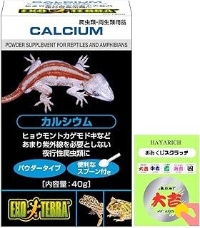 カルシウムサプリ（ロシアリクガメ用）
