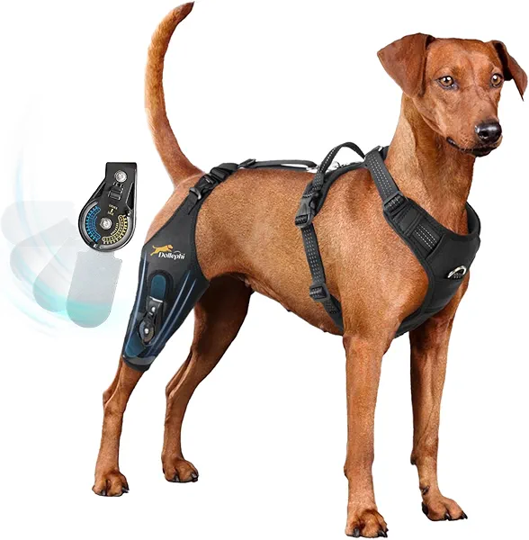 Dollephi Dog Knee Brace for Torn acl hind Leg with Adjustable Hinge Stabilizer, Dog Back Brace for Osteoarthritis, Dog Leg Brace Support for Cruciate Ligament Injury,Recovery After(Right Leg,XL)