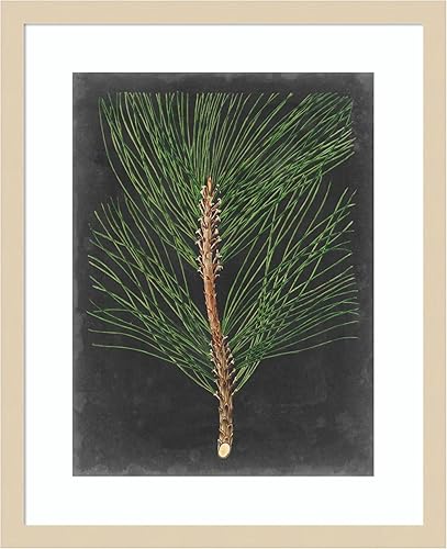 Miniatura 16 de Amanti Art Impresión artística enmarcada para pared, 44 x 36 pulgadas, dramático pino I de Vision Studio, arte de pared de naturaleza, decoración
