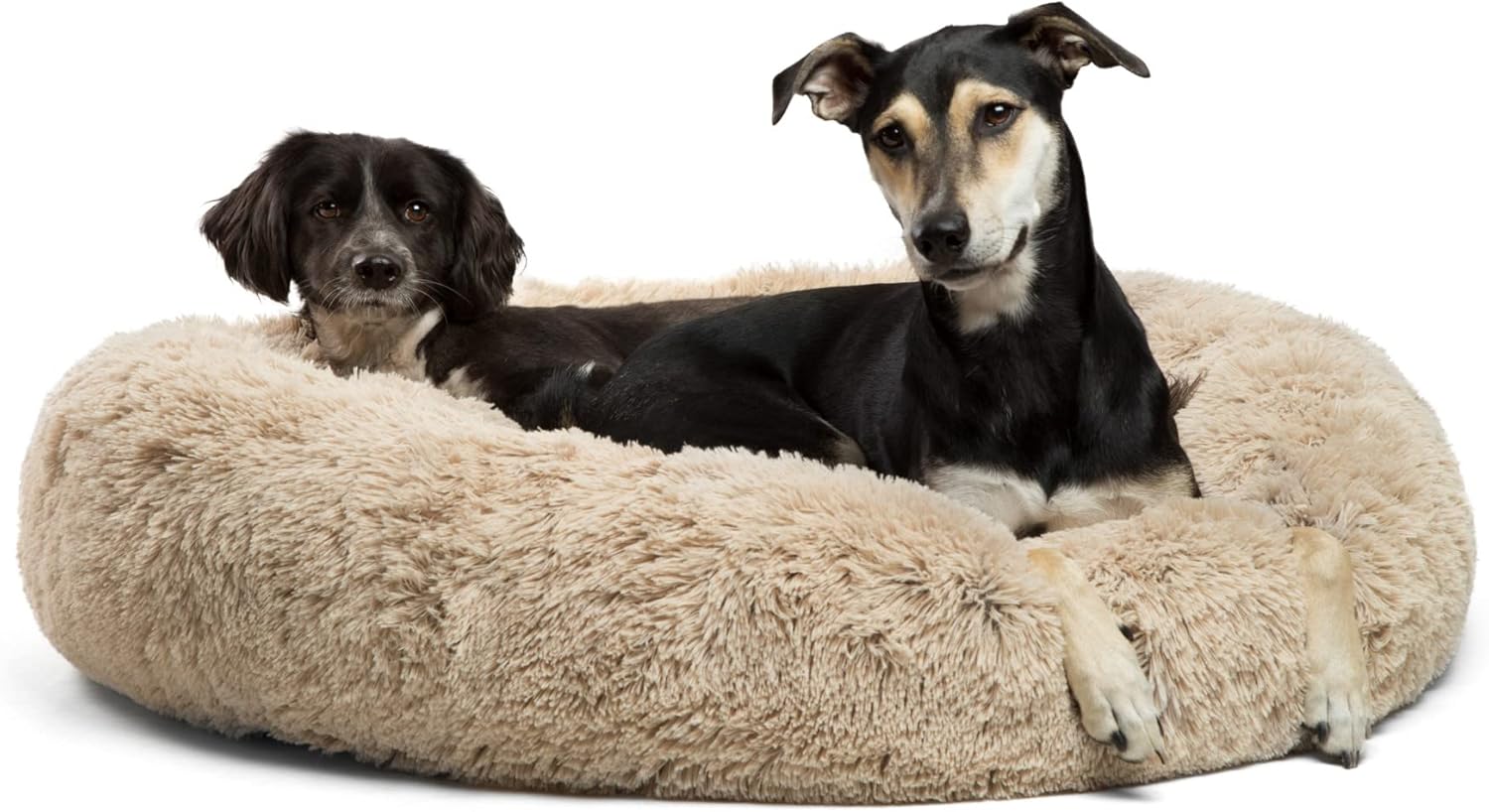 mellow dog bed