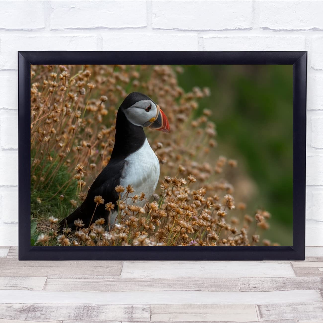 Fingerprint Designs Puffin Saltee Island Wildlife Animal Flower Wall Art Print