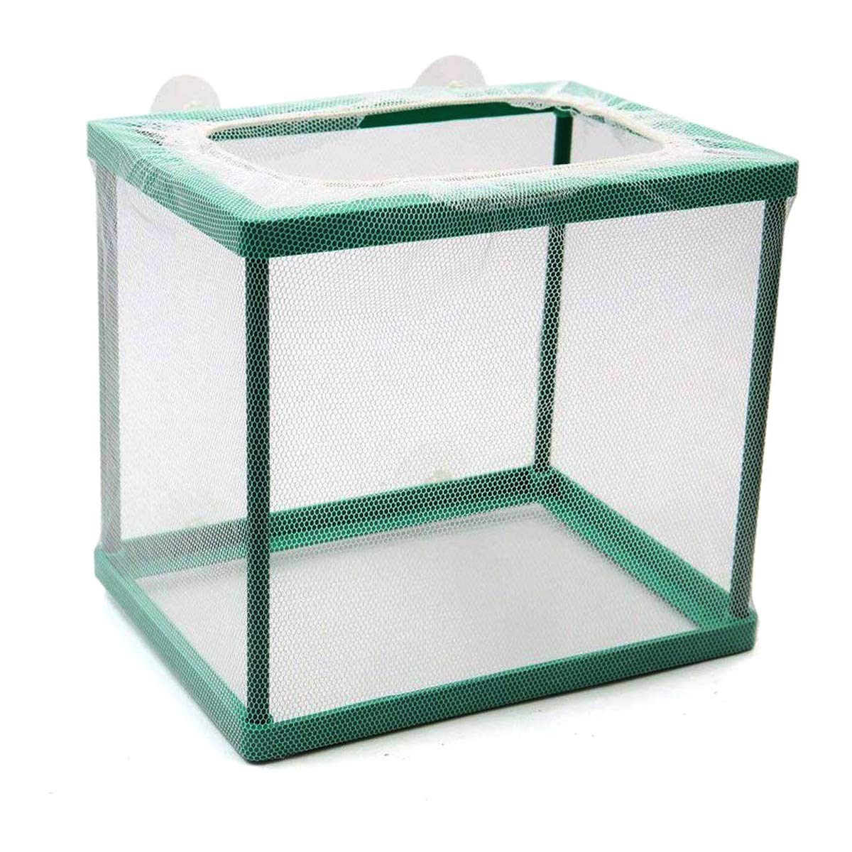 Green Square Aquarium Breeder Box - Fish Isolation Hatchery for Spawning & Hatching
