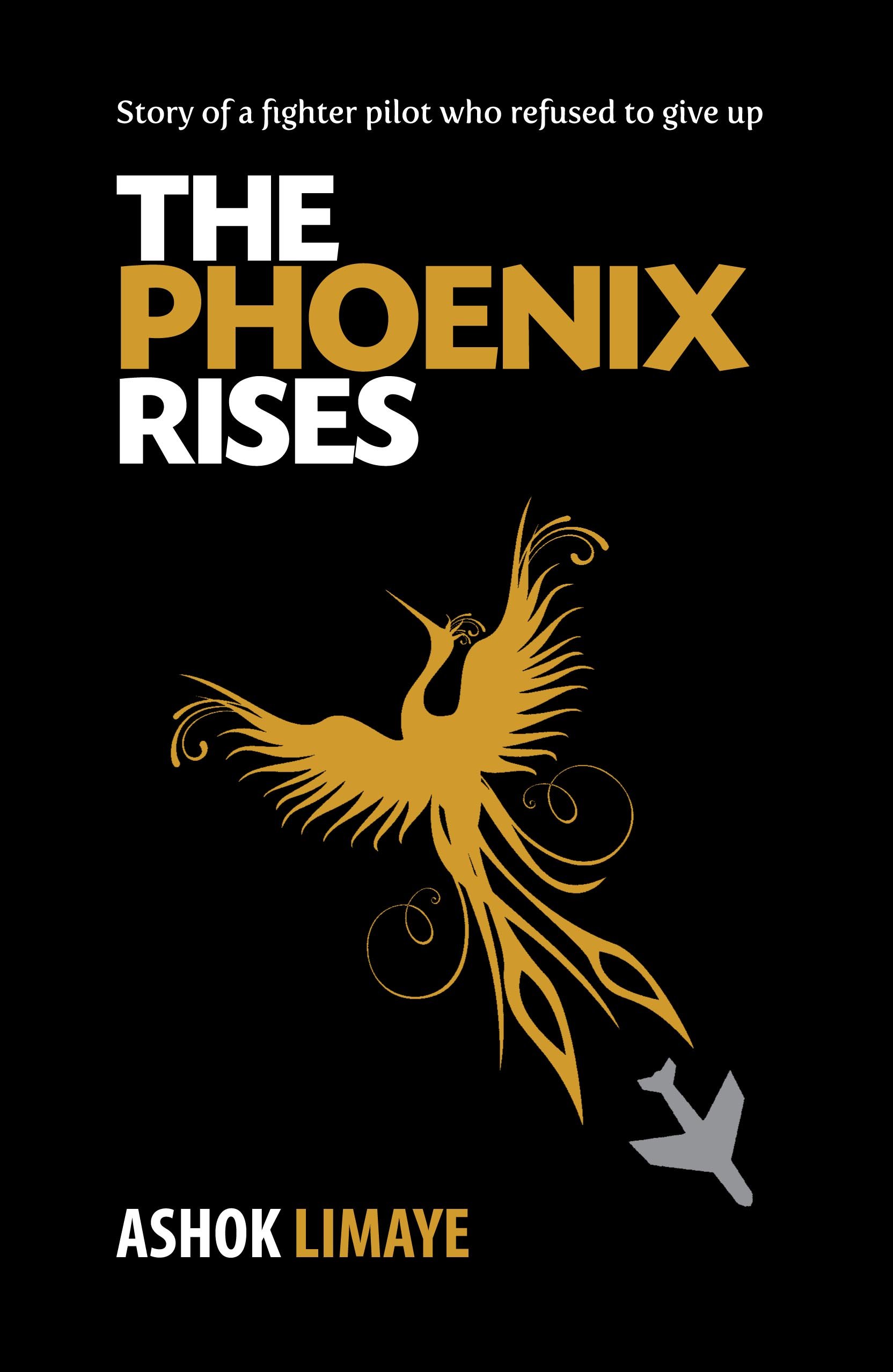 Phoenix Vol.5 Resurrection (Phoenix)英語版 Amazon.com: Phoenix