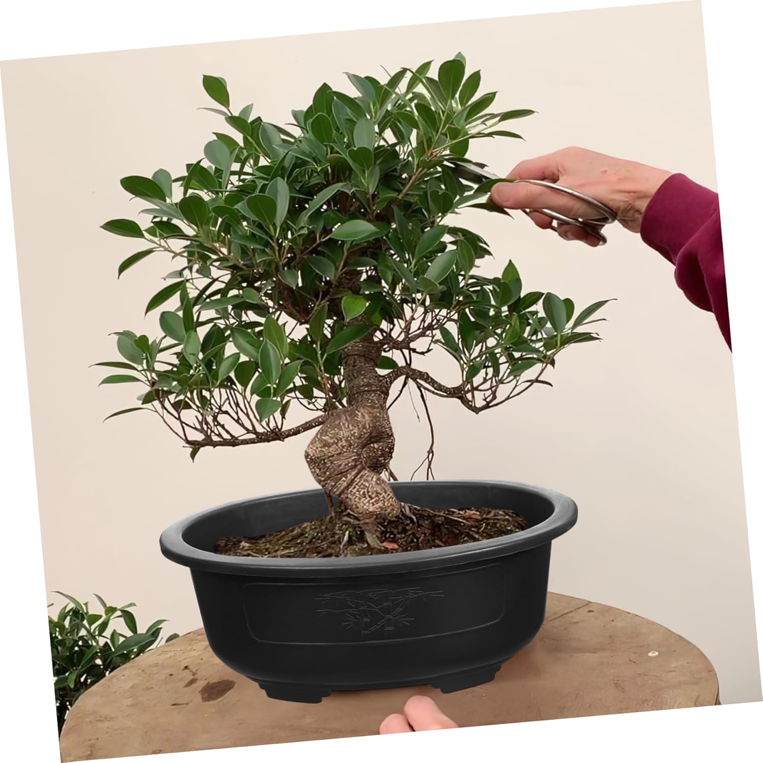 VICASKY 2pcs Large Oval Bonsai Planter Pots Breathable Flowerpots for Garden Balcony Indoor Plants Reusable Household Containers for Healthy Plant Growth and Vertical Gardening