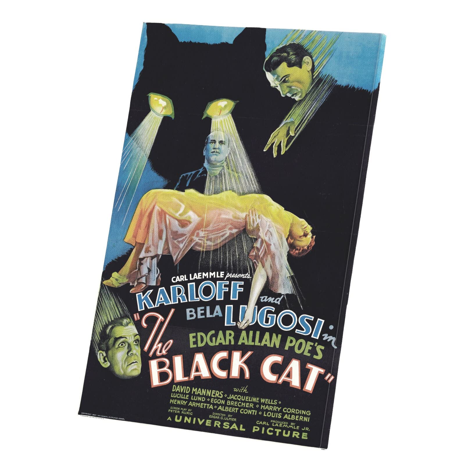 Quadro decorativo in tela stampata, anticato, poster inglese di film the Black Cat Retro, poster cinema vintage (60 cm x 92 cm)