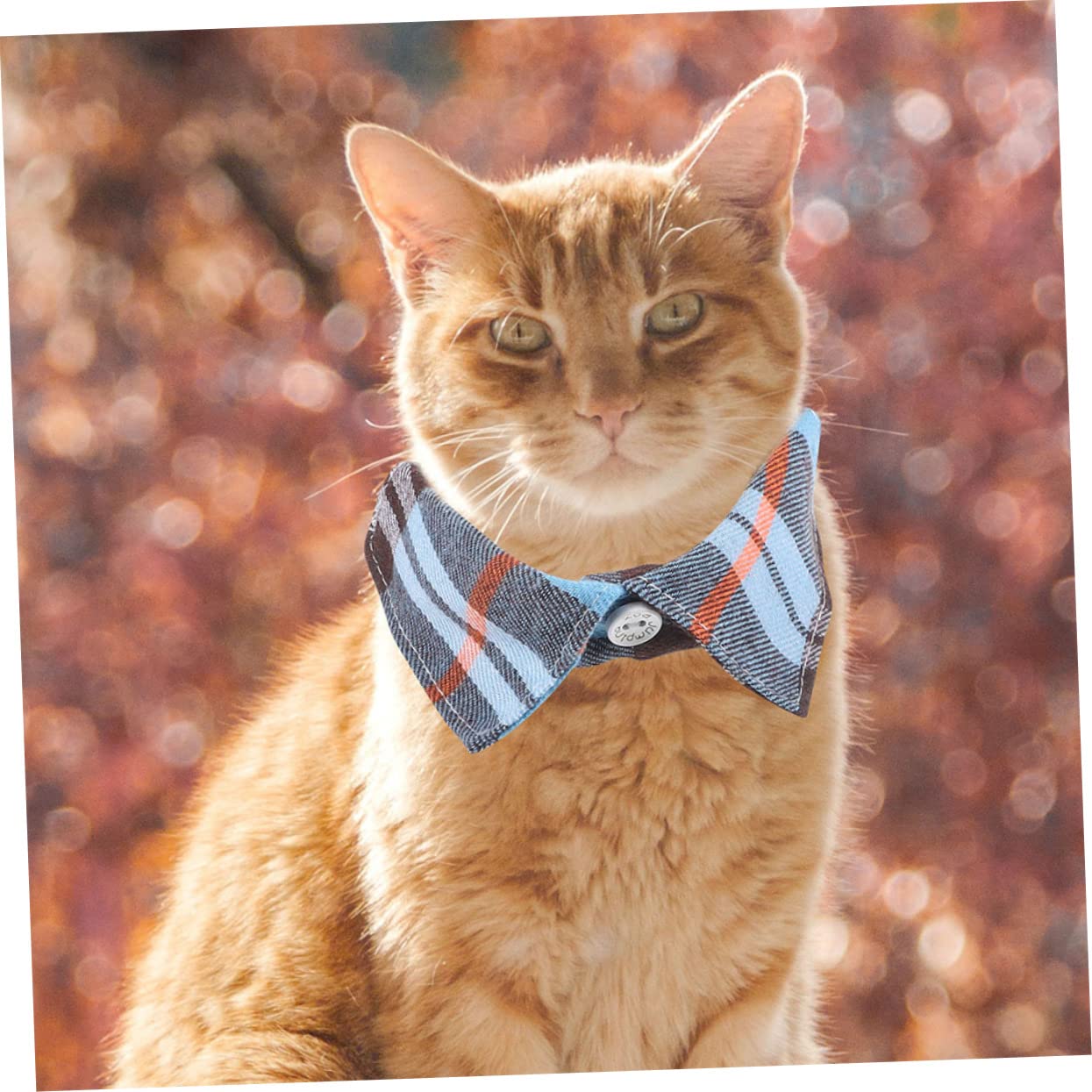 VANZACK Lot De 4 Colliers pour Chat Mignons avec Clochette Réglables À Carreaux Sûrs Et Respirants pour Fêtes Et 2 Pièces X 4