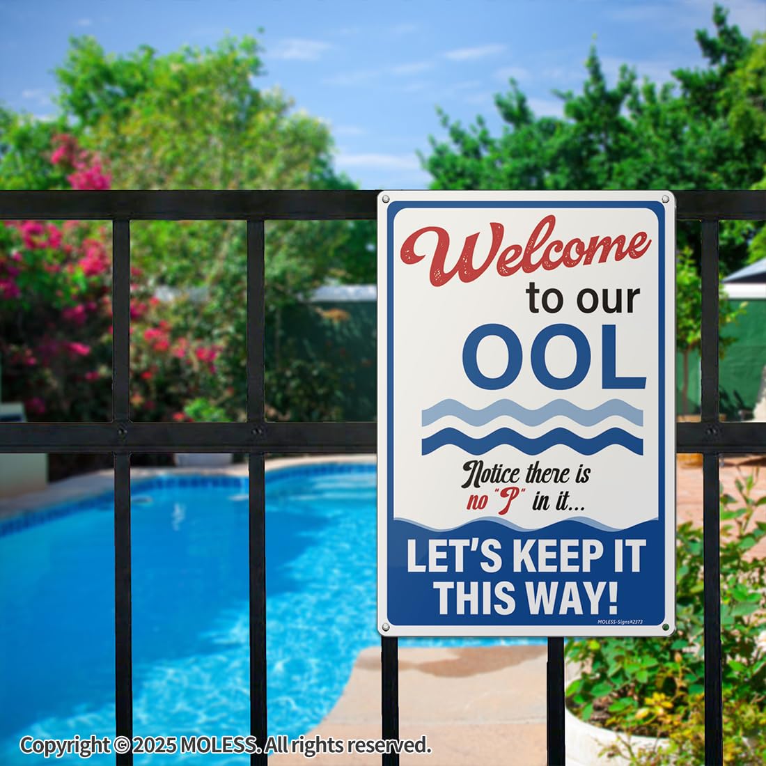 Aluminum Pool Rules Signs 2-Pack Pool Rules Signs Bundle 12x8 Inch ...