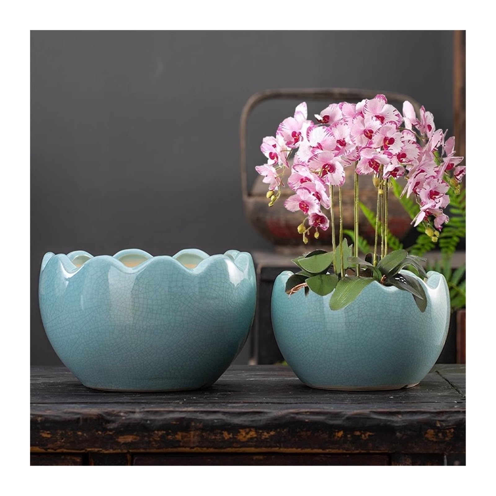 Doniczki do wnętrz spersonalizowana kreatywna orchidea sukulent doniczka ceramiczna duża średnica zielona roślina dekoracyjna doniczka doniczki na rośliny domowe (niebieski, M)