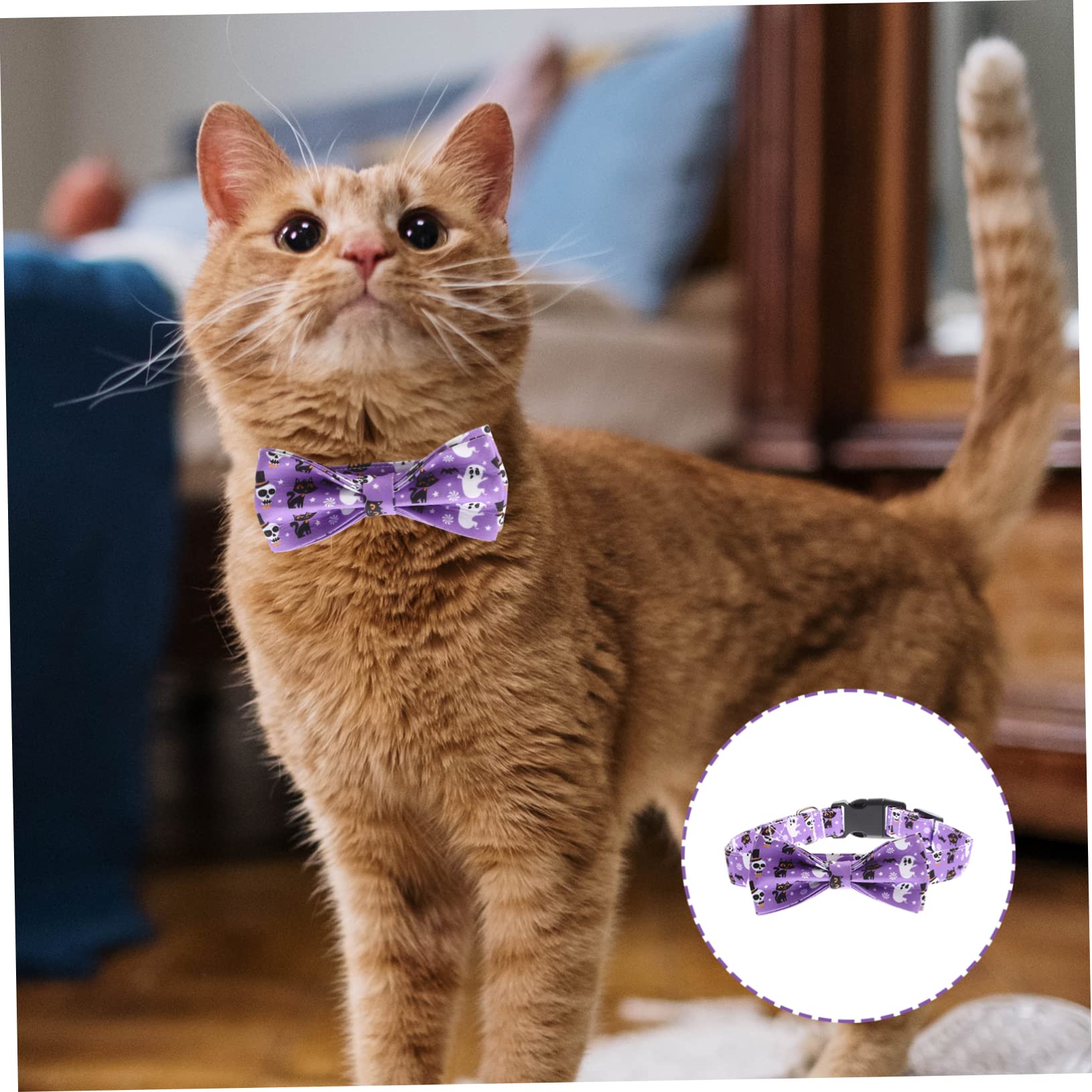 BESPORTBLE 4stücke Dekorativer Halloween Katzenhalsband Mit Abnehmbarem Schleifenmotiv Festliches Purpurfarbenes Design Für Ihre Katze Für Partys Und Besondere Anlässe