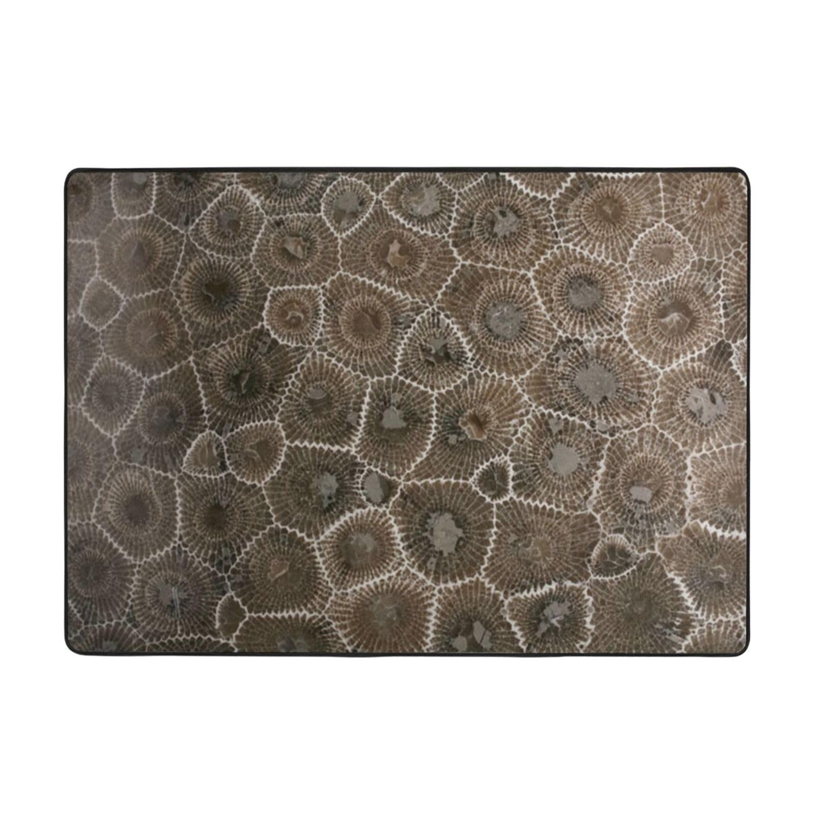 Tapis de salon en peluche douce Petoskey pour réchauffer votre intérieur