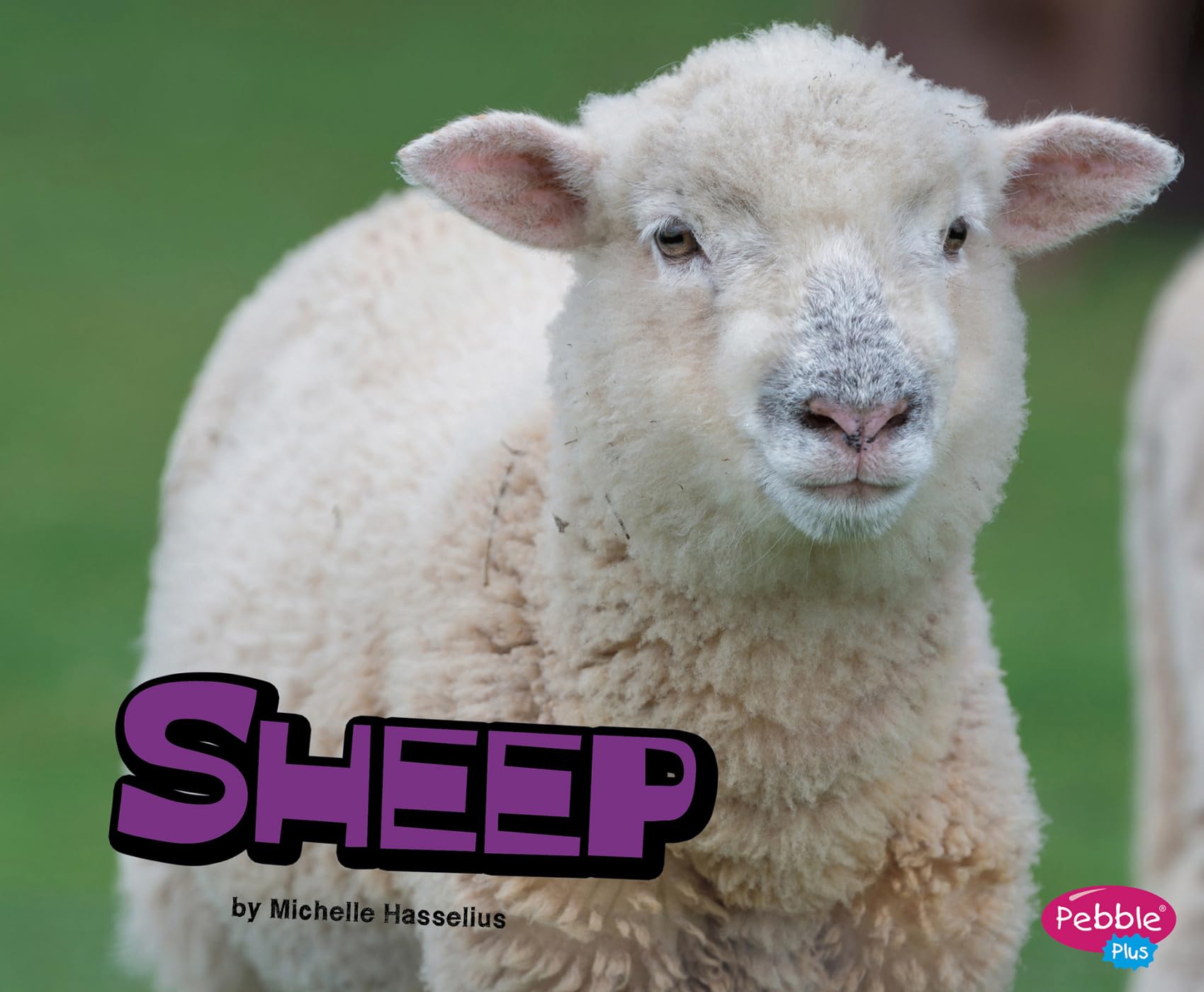 Buy Sheep (Farm Animals) — BookShops.in