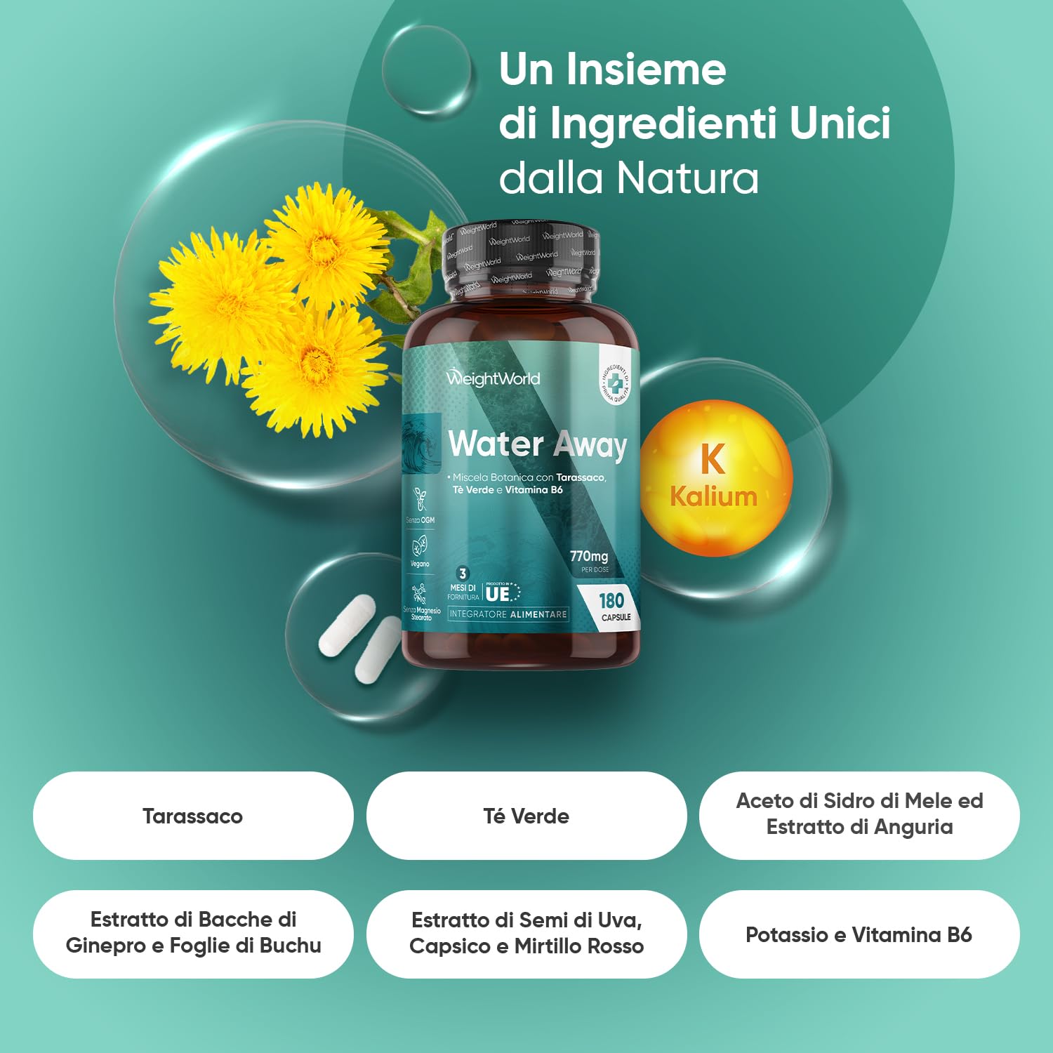 Water Away in 180 Capsule Vegane (3 Mesi di Fornitura), 770mg per Dose, Tarassaco Capsule con Te Verde, Vitamina B6, Mirtillo Rosso, Potassio e Bacche di Ginepro, Senza Magnesio Stearato né Glutine