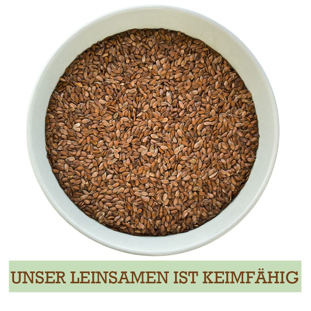 Siemię lniane, naturalne nasiona lnu, całe ziarna, poduszka cieplna, 0,5-30 kg, dodatek do karmy, konie, ptaki, drób, wybór DML, ilość: 15 kg