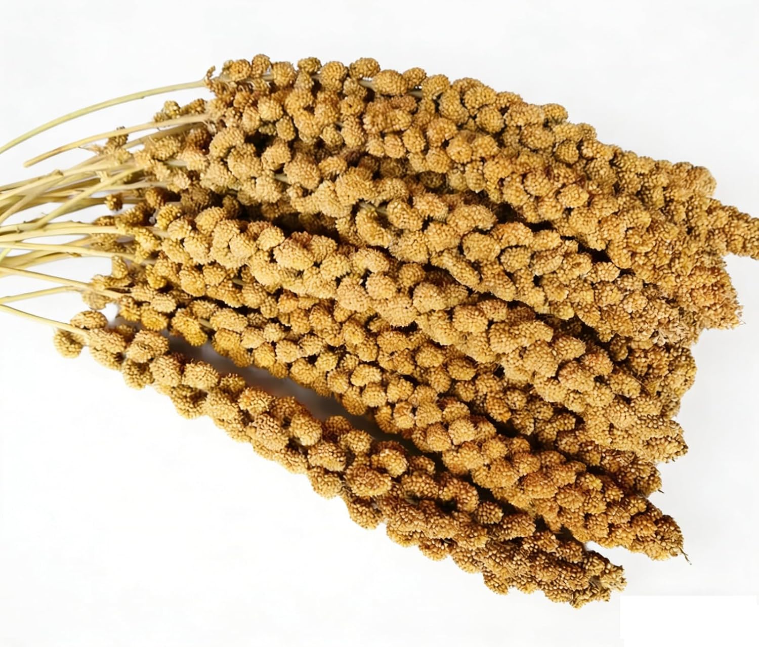 Bissap 300g Natural & Nutritious Millet Sprays – Premium Bird Treats for Budgies, Canaries, Finches, Cockatiels, Parrots & All Pet Birds – 100% Natural, No Additives, Promotes Foraging & Bonding