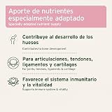Ver la foto 2