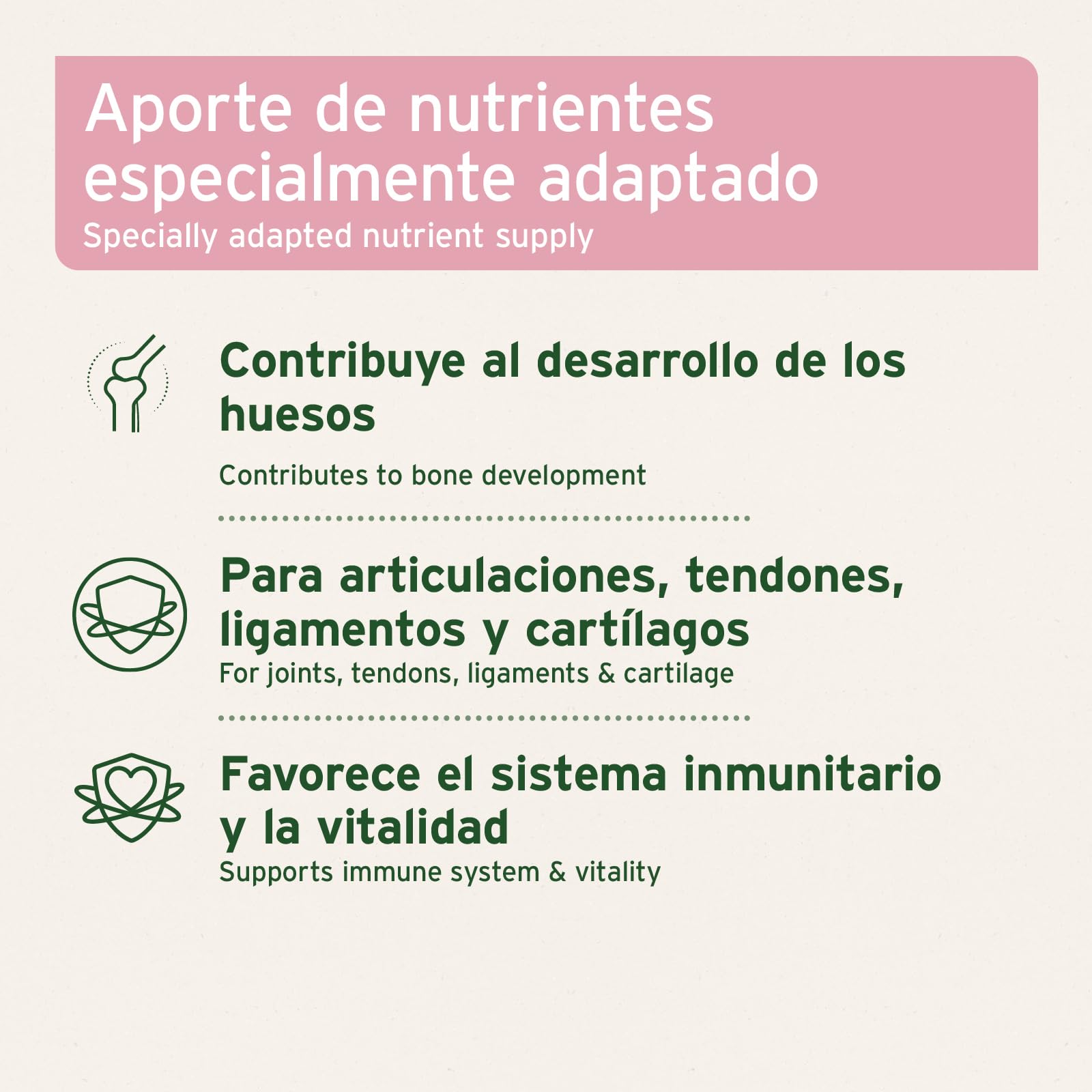 AniForte Junior Active para Cachorros y Perros jóvenes 250g - para el Desarrollo de Huesos, tendones, ligamentos y Dientes. Suplemento para Cachorros con Calcio, vitaminas y minerales