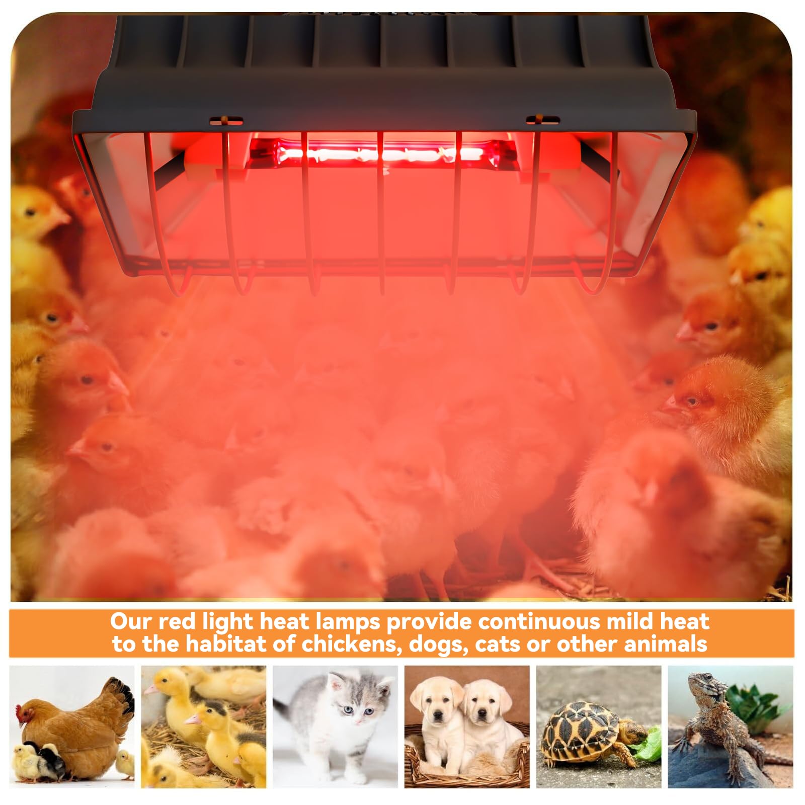 Lampada a luce rossa per pulcini da 175 W, lampada di calore per animali e polli, cavo da 1,8 m, per pulcini, suinetti, cuccioli