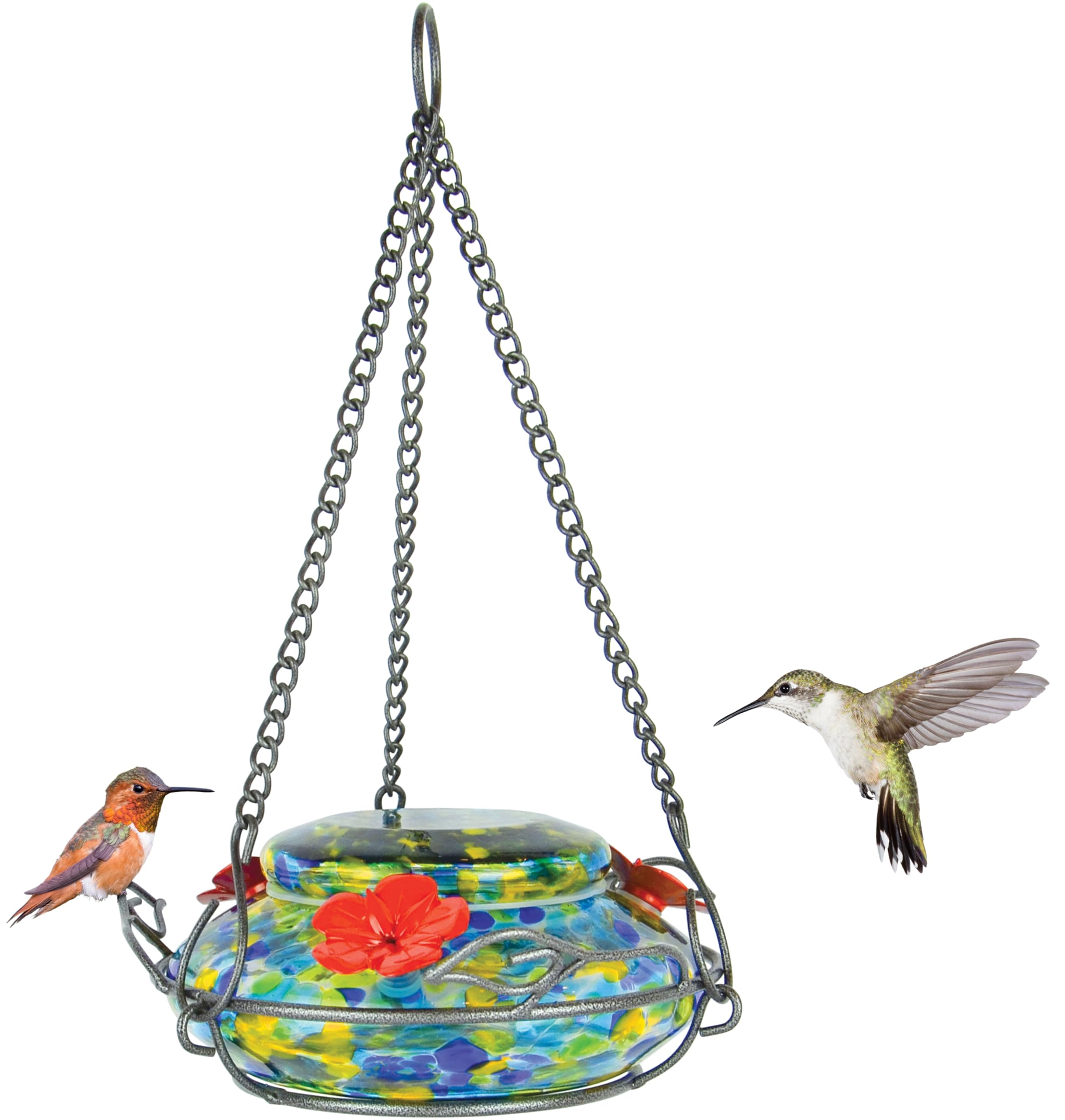 Amazon.co.jp: Nature's Way Bird Products GHF7照光式トップフィル