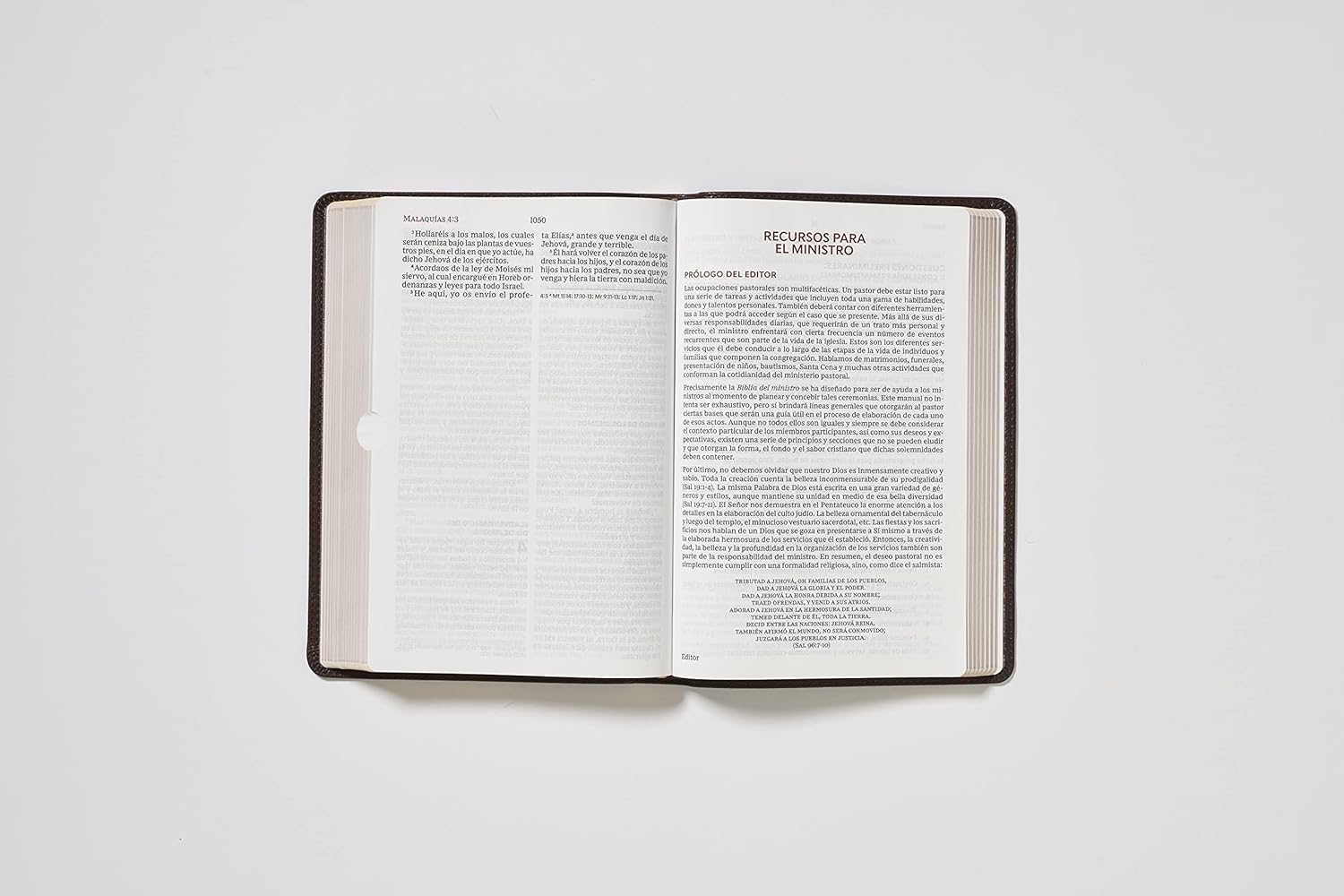 RVR60, Biblia del Ministro, Letra gigante, Leathersoft, Café, Palabras de Jesús en Rojo, Comfort Print (Spanish Edition)      Leather Bound – Large Print, October 19, 2021