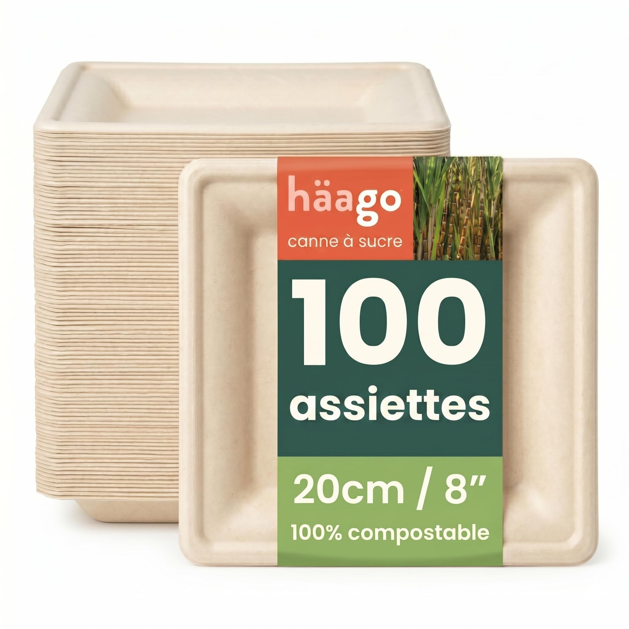HAAGO 100 Assiettes Solides Compostables en Canne à Sucre, 20 cm / 8 Pouces Carrées – Assiettes Carton Rigides, Anti-Graisse & Anti-Fuites – Jetables pour Chaud & Froid, Fêtes, BBQ, Traiteur