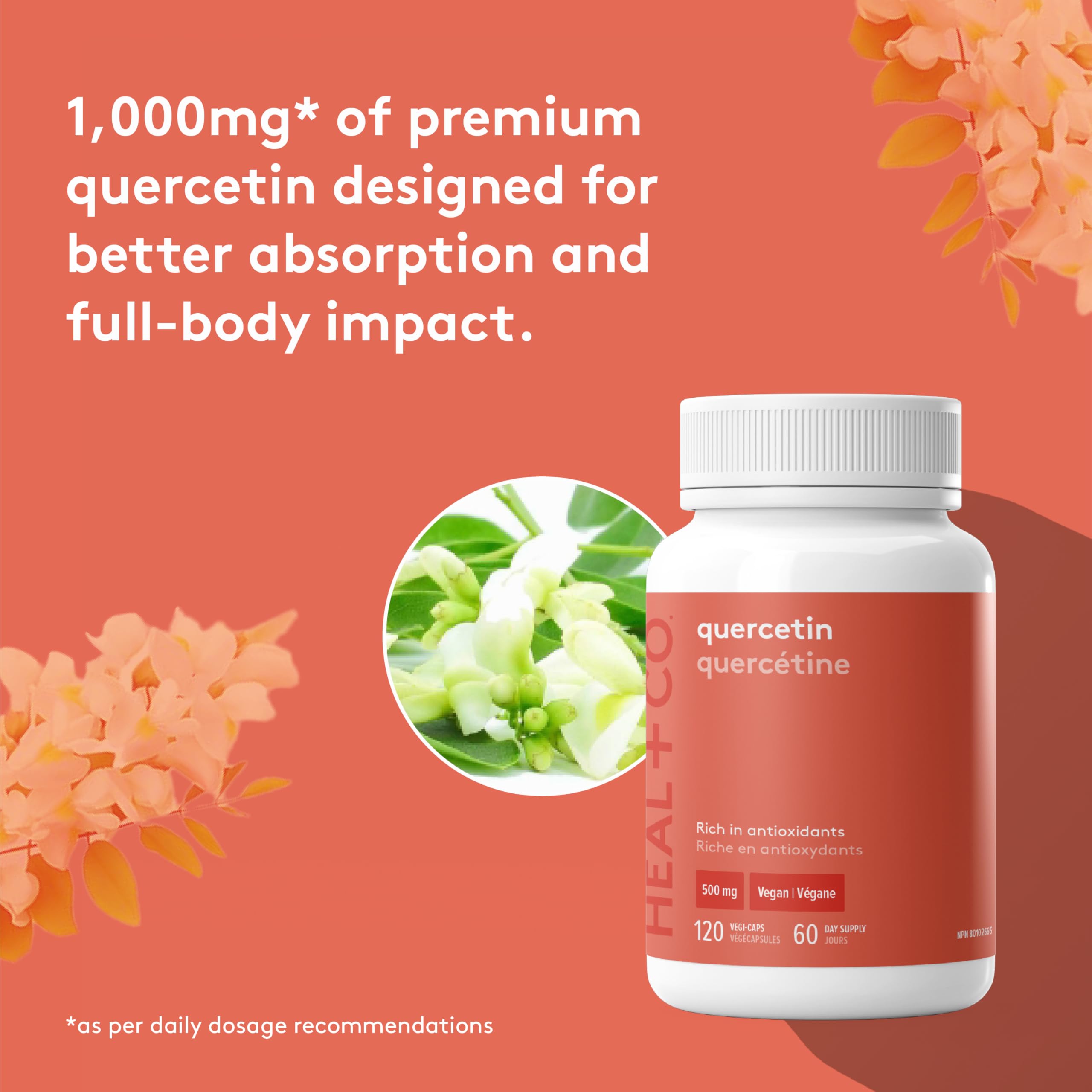 HEAL + CO. Quercétine, Formule Antioxydante Haute Puissance avec 1000 mg par Portion, Soutient l'Immunité Quotidienne, la Protection Cellulaire & la Réponse Inflammatoire – 120 Gélules Vegan