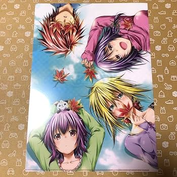 ぐらんぶる　てんぷる　31冊セット ぐらんぶる てんぷる 31冊セット ぐらんぶる てんぷる 31冊セット