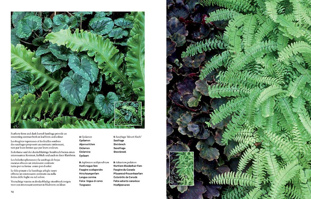 Botanical Inspirations: 1000 Ideas for Planting Your Garden / 1000 Ideen fur die Bepflanzung deines Gartens / 1000 Ideas Para Plantar tu Jardin