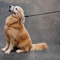 Vista 3 de Multifuncional Figura 8 Cabeza acolchada Cabestro Caminar Entrenamiento Tapón de cuero Cuerda Deslizamiento Perro Correa Bozal (Gris)