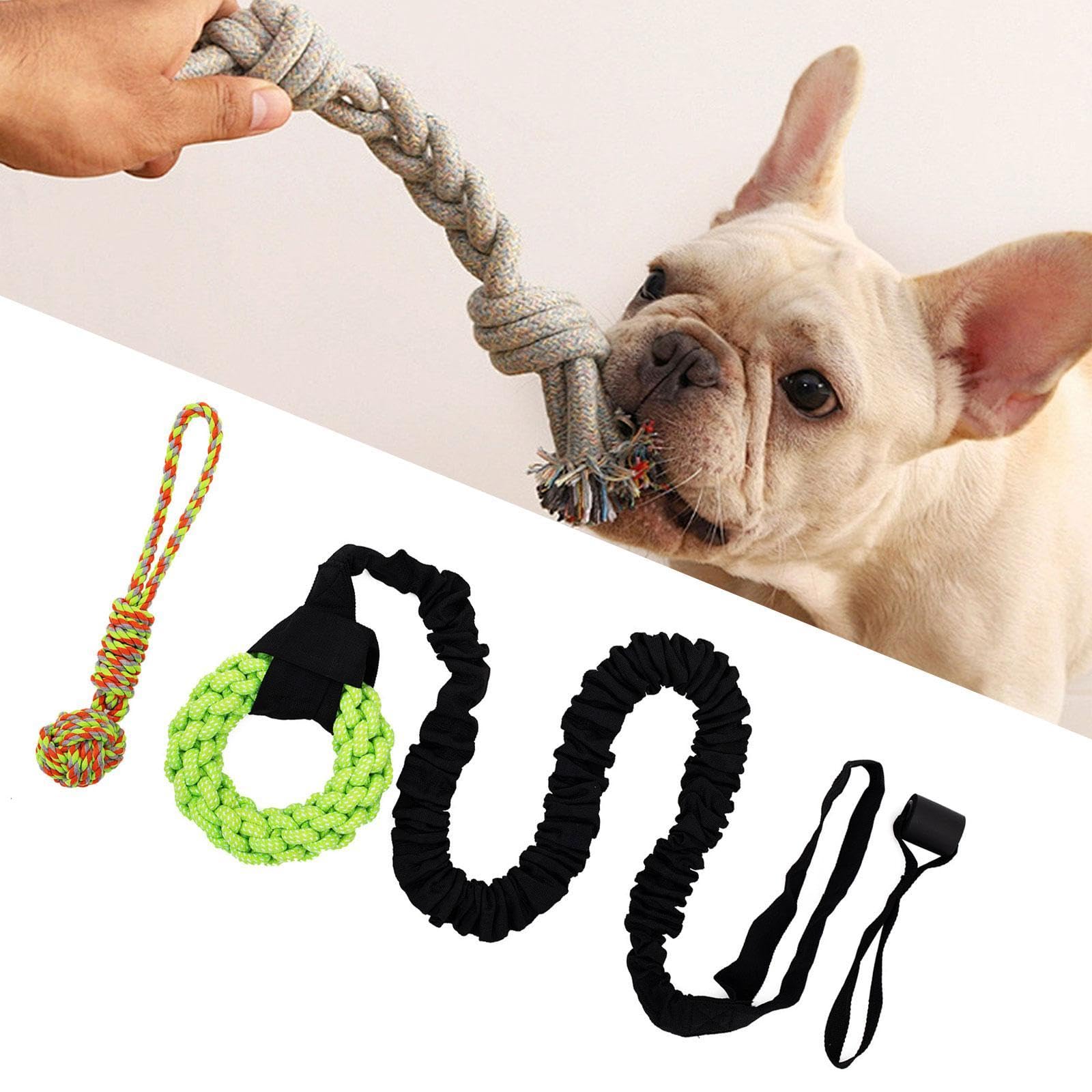 Jouet élastique pour Chien à Suspendre Aux Arbres, Corde de Jeu, Exercice pour Chiens de Toutes Tailles, Même Les Plus Turbulents, Jeu de à, Anneau Vert