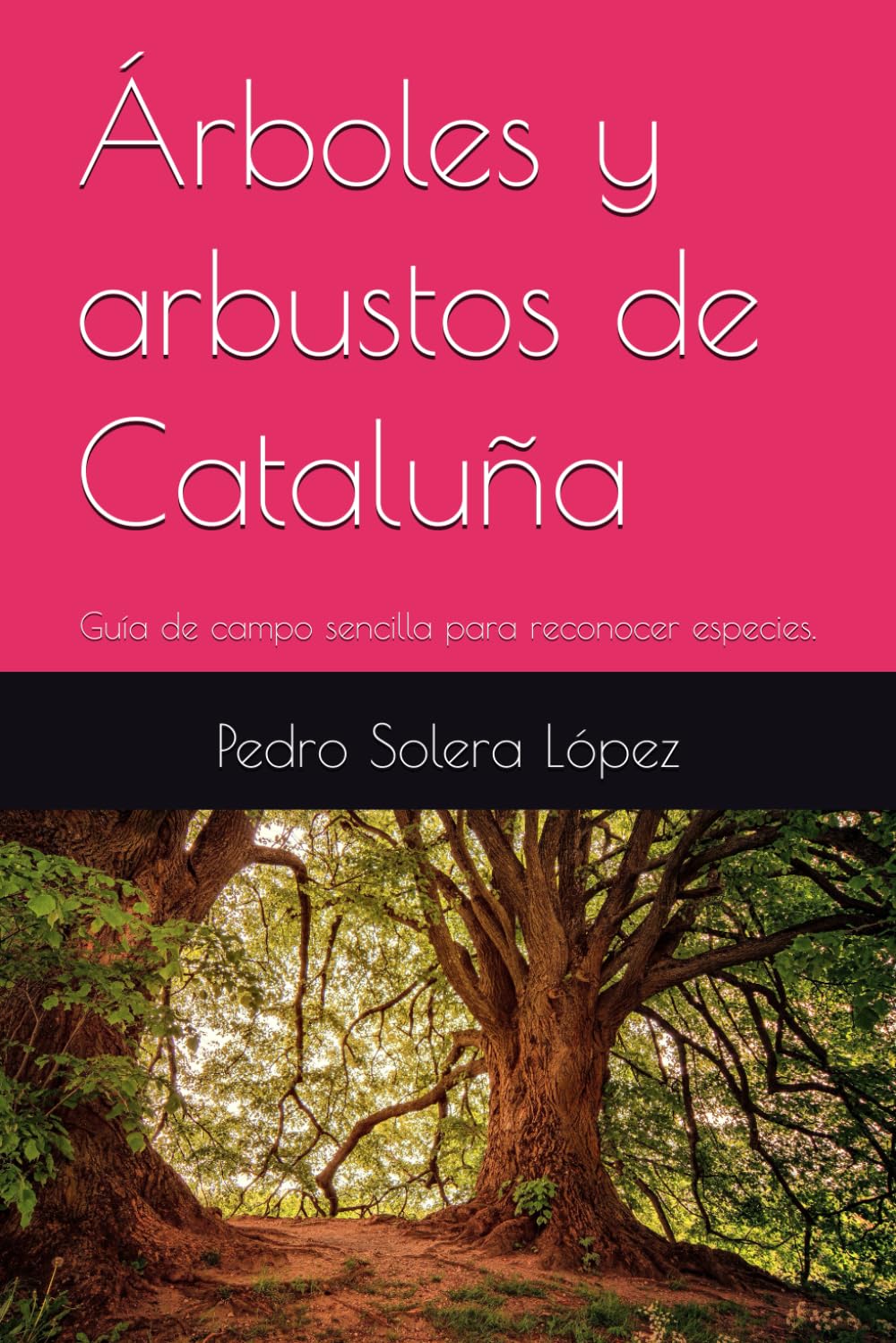 Árboles y arbustos de Cataluña: Guía de campo sencilla para reconocer especies.