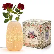 TACAHE Ceramic Vase Table Lamp, 2700K Bulb & 3 Artificial Flowers Included, E12 Socket, Inline Switch, Handmade Openwork Craft, Ambient Light for Living Room Bedroom - Starry 9.3"