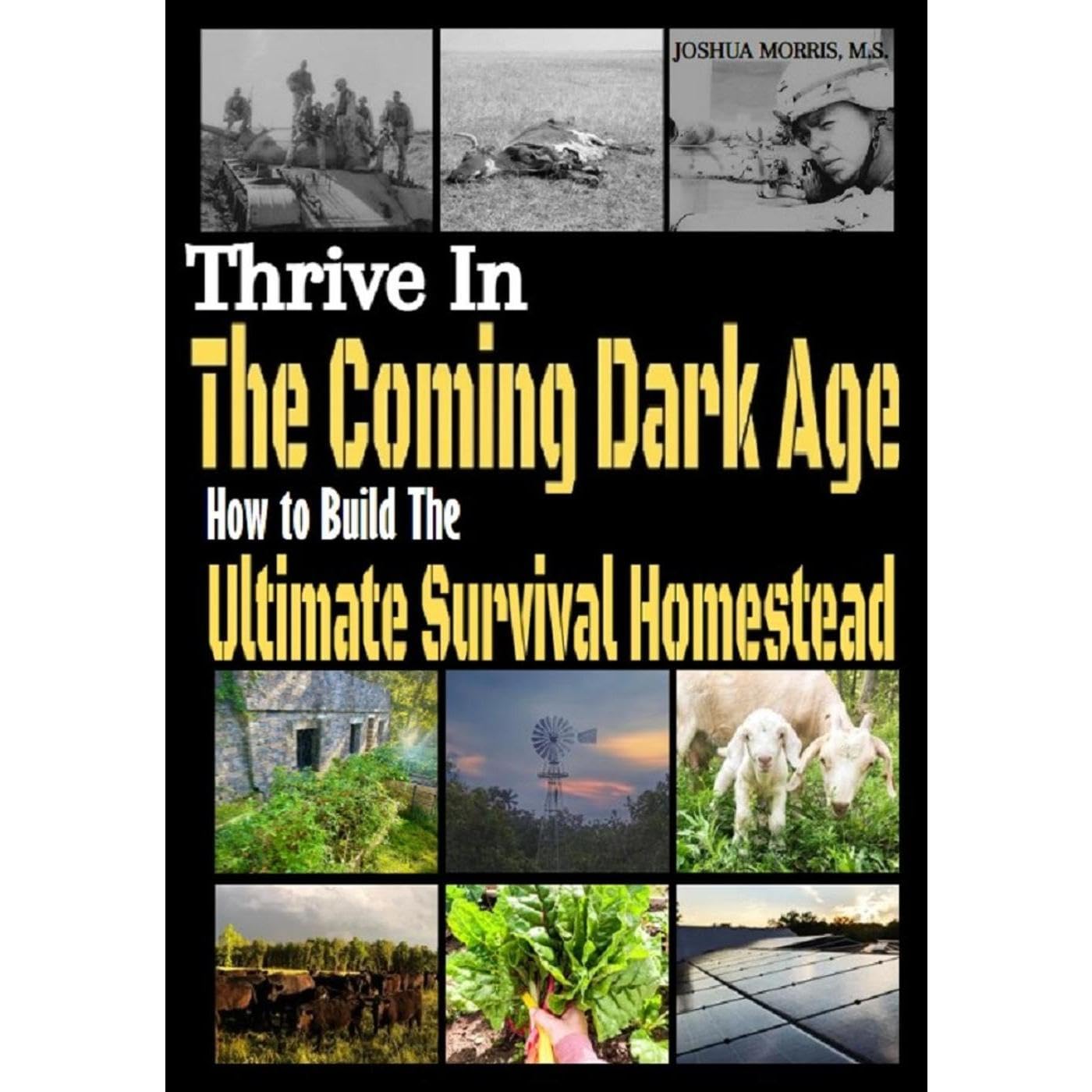 Thrive in the Coming Dark Age