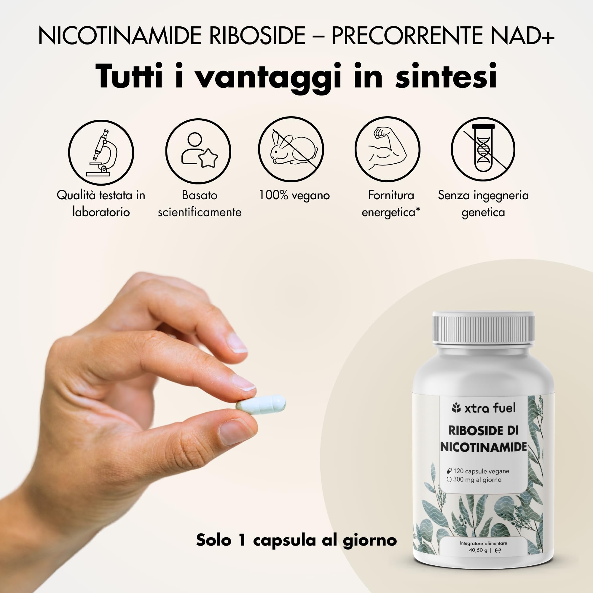 Complesso per il fegato - 180 capsule ad alto dosaggio - con cardo mariano (80% silimarina)