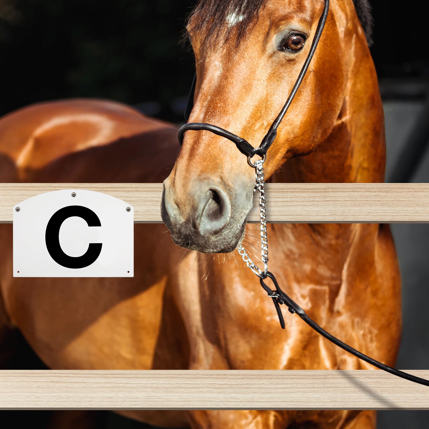 PEUTIER 8pz Pennarelli da Dressage per Montaggio a Parete per Arena, Acrilico Pennarelli da Dressage da Allenamento per Atleti Equestri A B C E H K F M Segni di Lettere Grandi