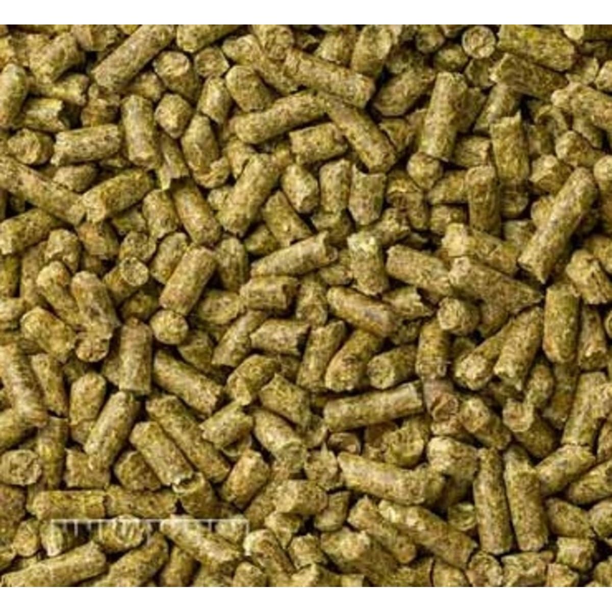 Amazon | Mazuri チモシーベースラビットダイエットフード 1kg 530Q-S