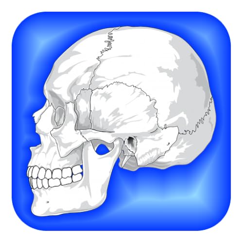 Human Body Facts: Fun Human Anatomy and Physiology Flash Car
