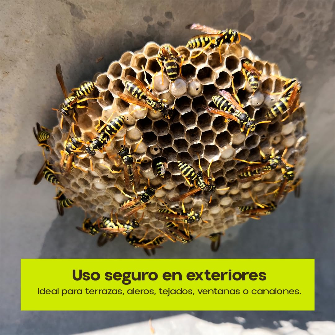 PREBEN Insecticida Avispas | Especial Avisperos 750 ml | Spray de Largo Alcance | Muy Eficaz para Avispas, Avispas Asiática y Avispones | Pulveriza hasta 4 Metros | Uso Exterior | Nexum Market