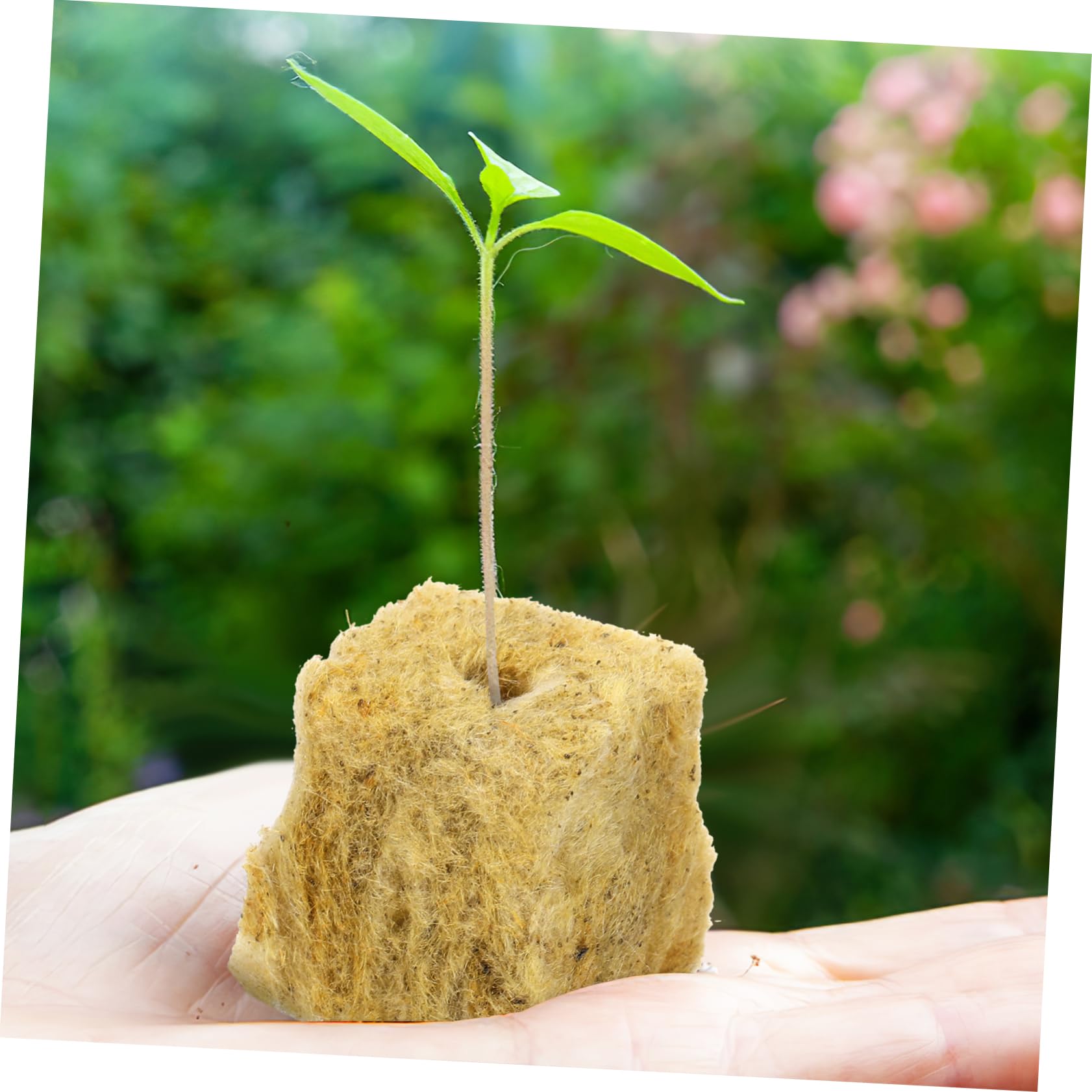 Sosoport 3 Juegos Bloques De Tierra para Propagación De Plantas Cubos para Plantas Cubos De Tierra os para Plantación Hidropónica Tapones De Cultivo os para Iniciar 100 Uds * 3