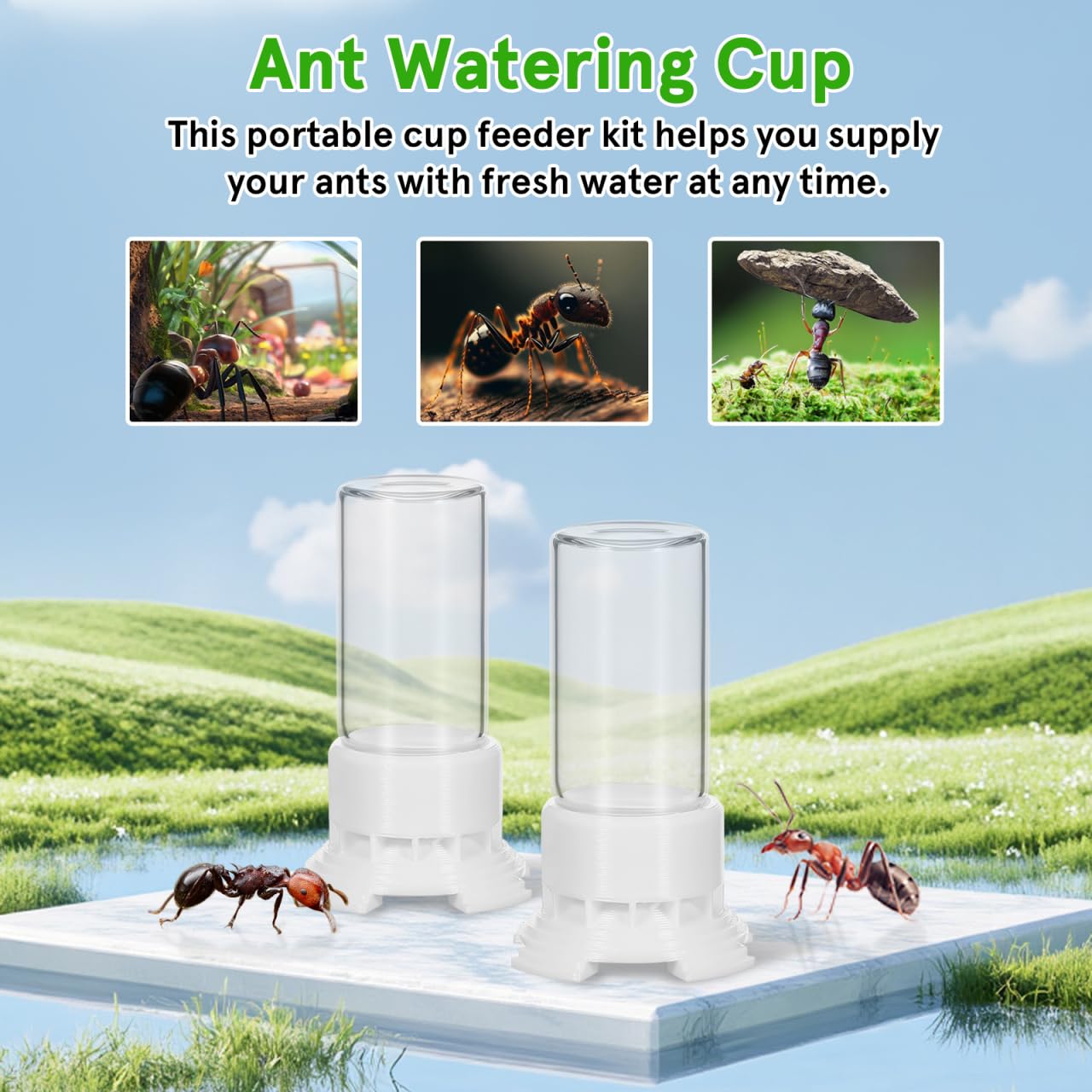 Hemobllo 2 distributori di acqua formiche in plastica Ant Nest Dispenser di cibo durevole per la conservazione delle formiche