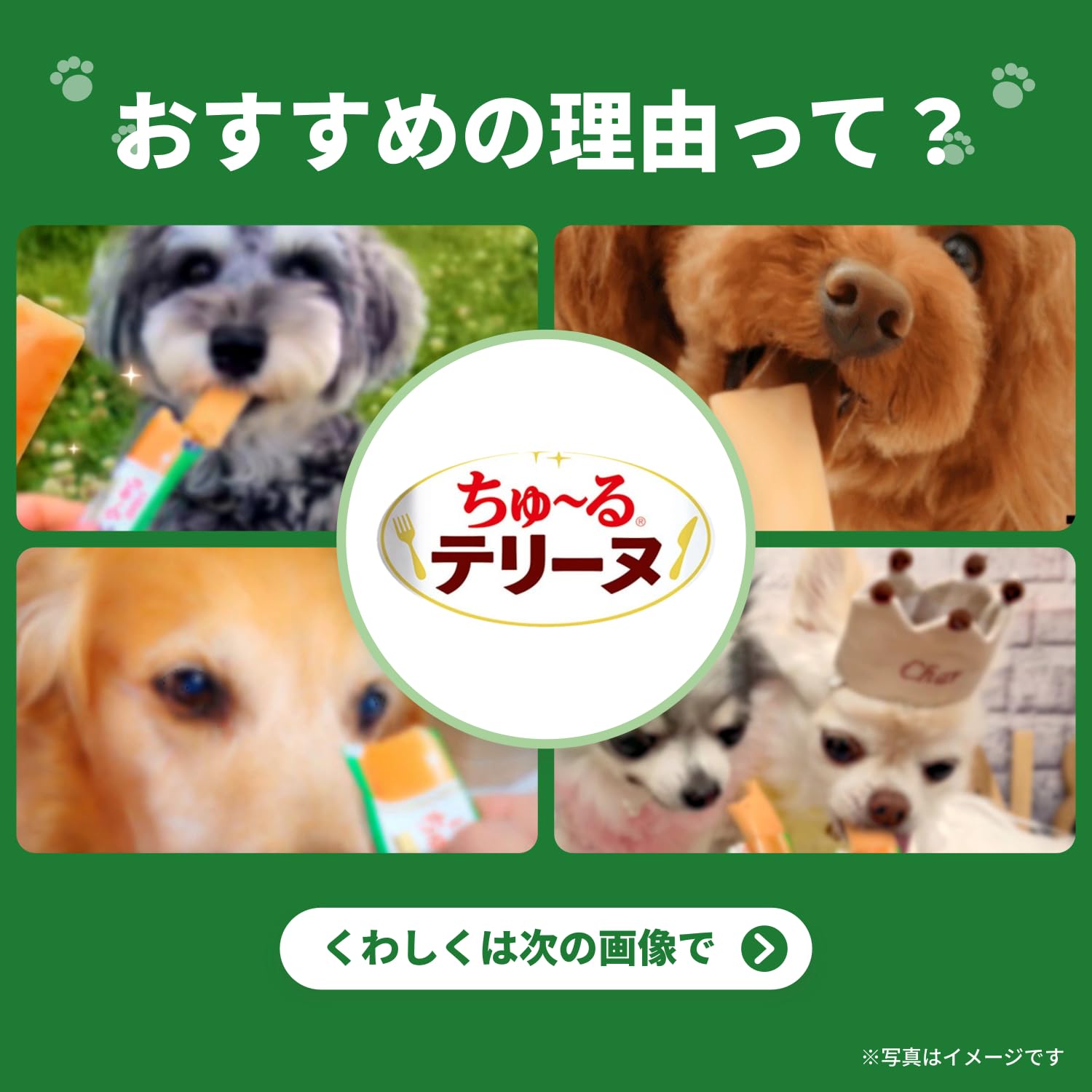 Amazon.co.jp: いなば ちゅ~るテリーヌ 総合栄養食タイプ バラエティ