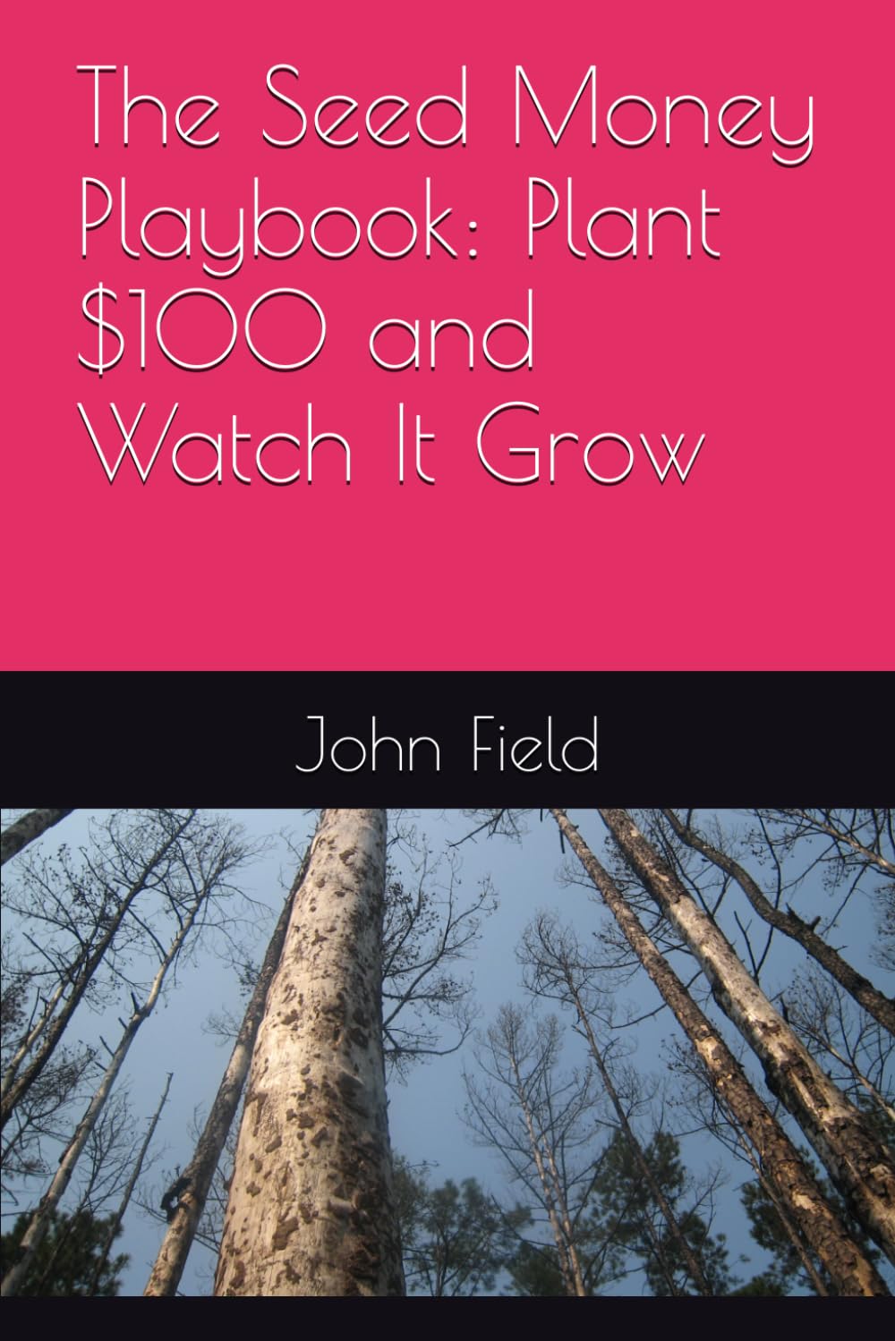 The Seed Money Playbook: Plant $100 and Watch It Grow
