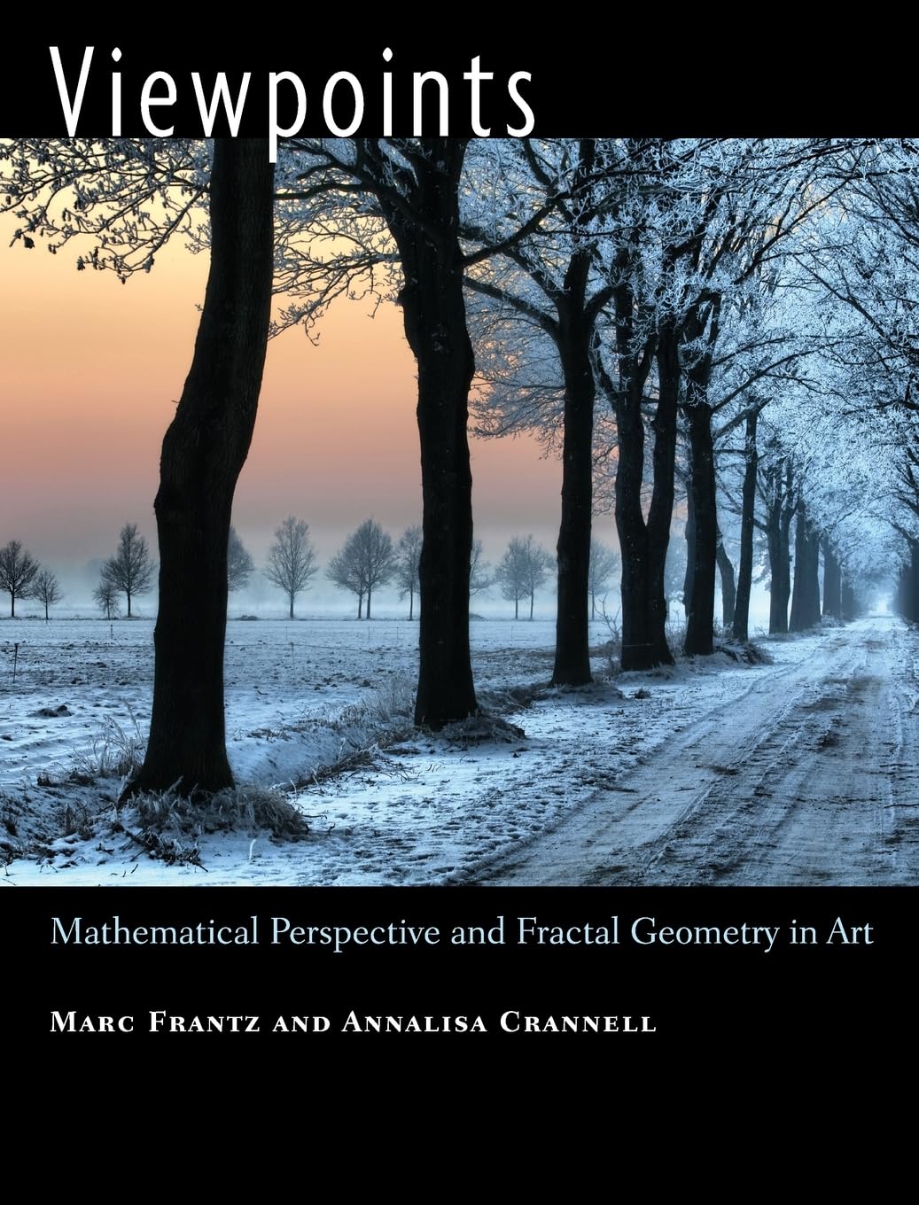 Viewpoints Mathematical Perspective and Fractal Geometry
