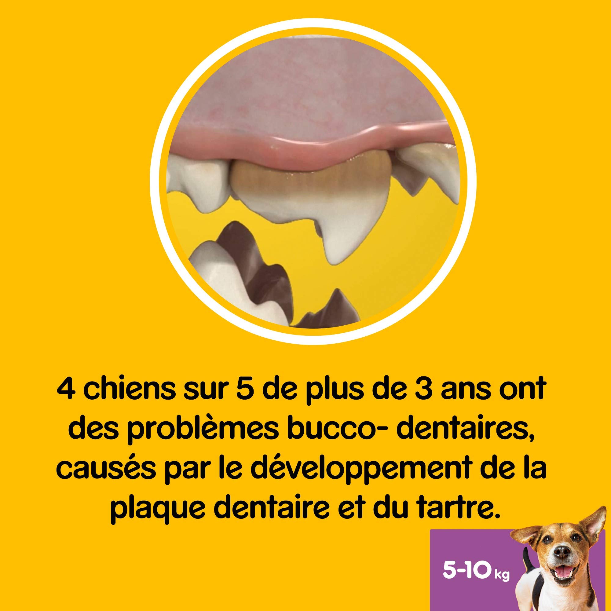 Pedigree Dentastix - Friandises pour petit chien, 56 bâtonnets à mâcher pour l'hygiène bucco-dentaire (1 boîte de 880 g / Total 56 Sticks)