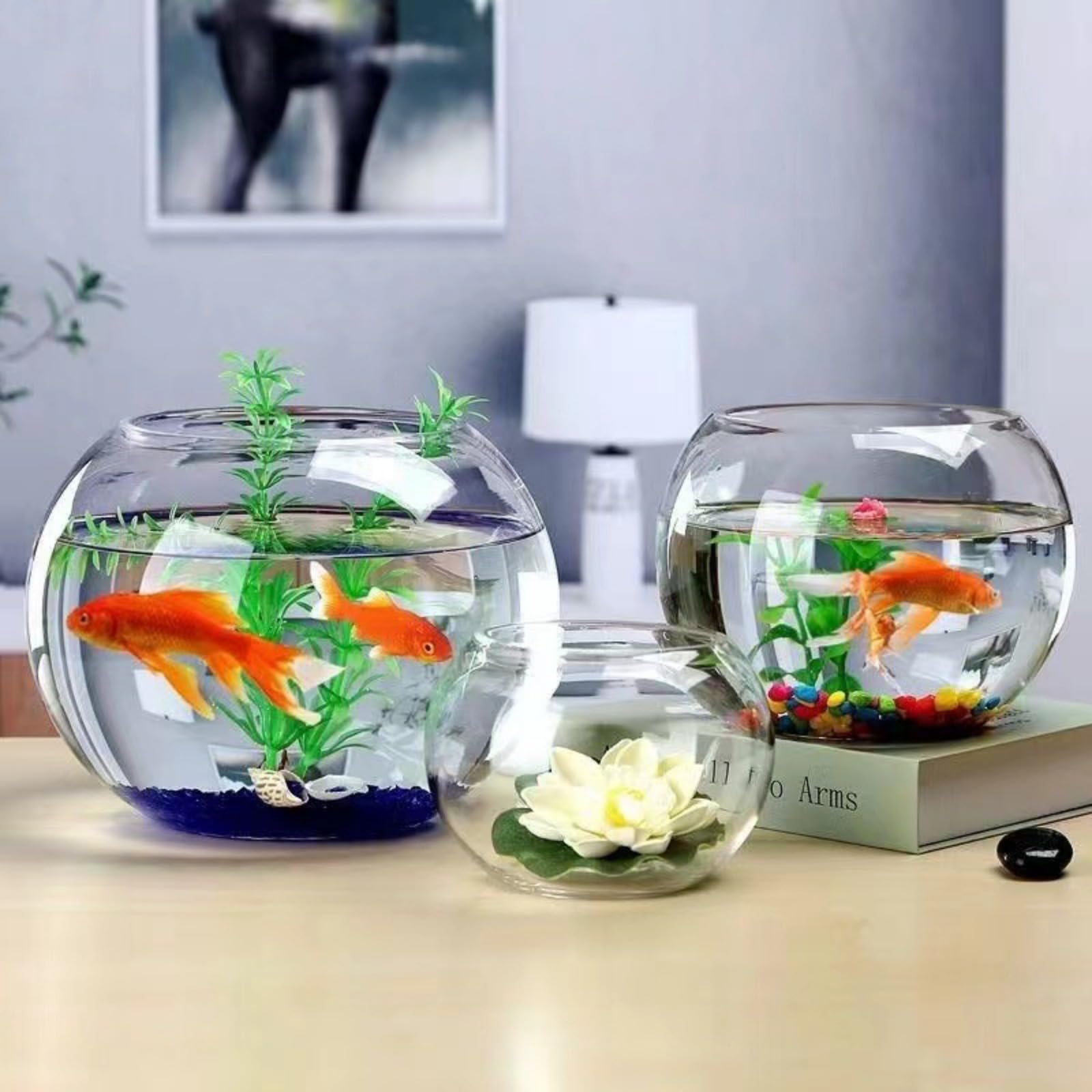 Amazon | jshigogo 金魚鉢 水槽 アクアリウム 丸型金魚鉢 テラリウム
