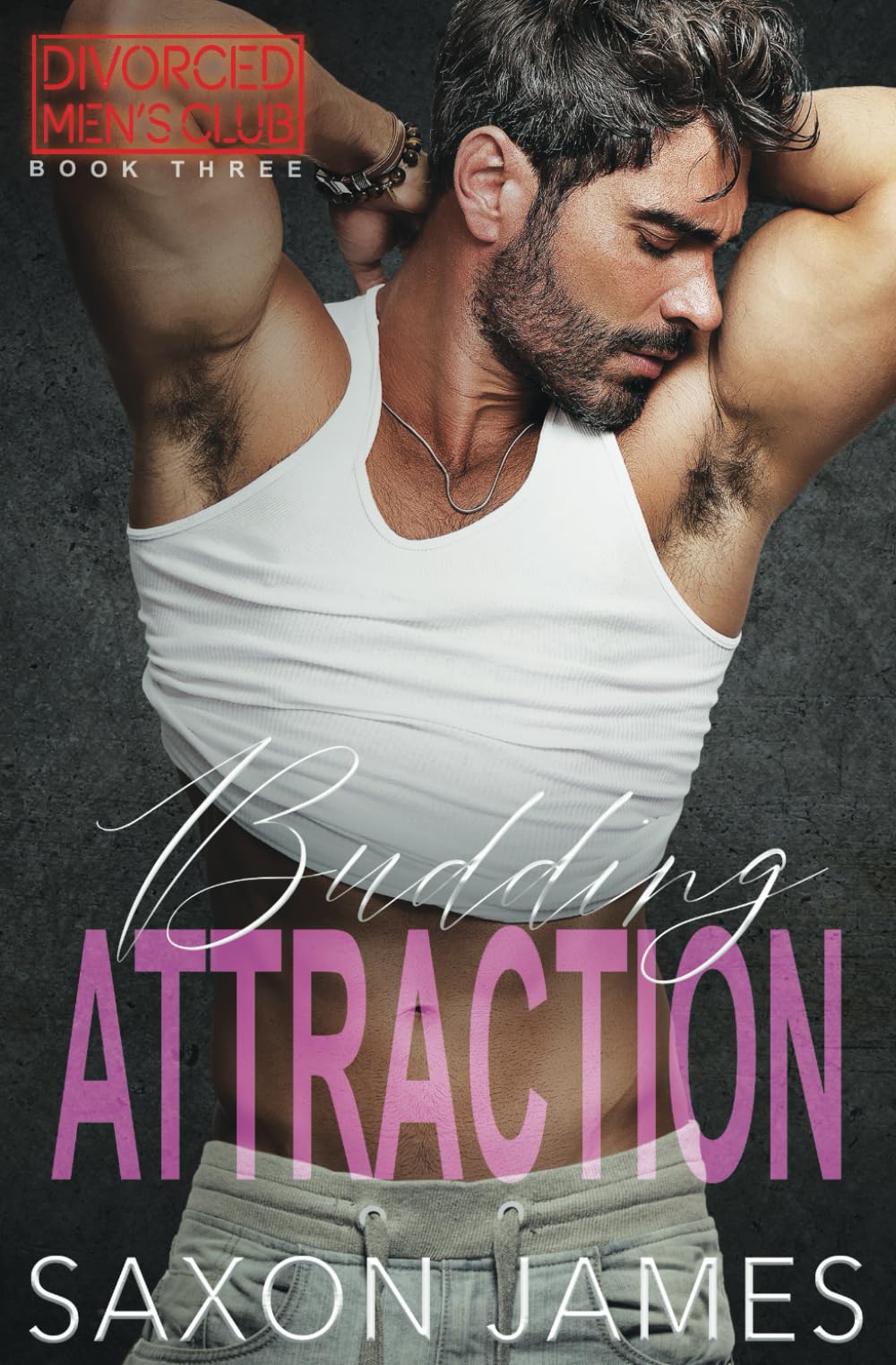 Budding Attraction (Divorced Men's Club)