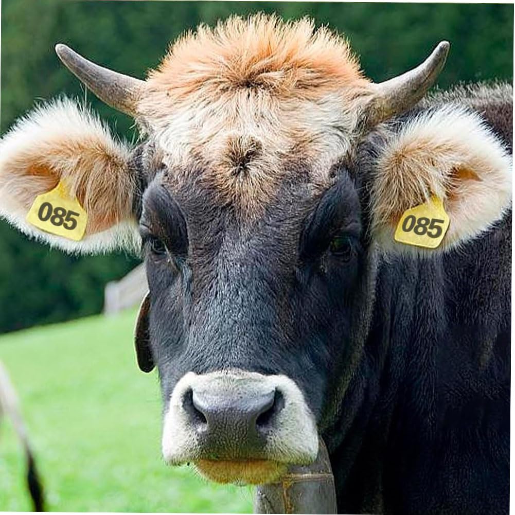 Kuh-Ohrmarke, Rinder-Tieridentifikations-Ohrmarke mit den Nummern 001-100/101-200/201-300~801-900/901-1000, geeignet für Rinder, Ziegen, Schweine und Rinder 801-900 Yellow