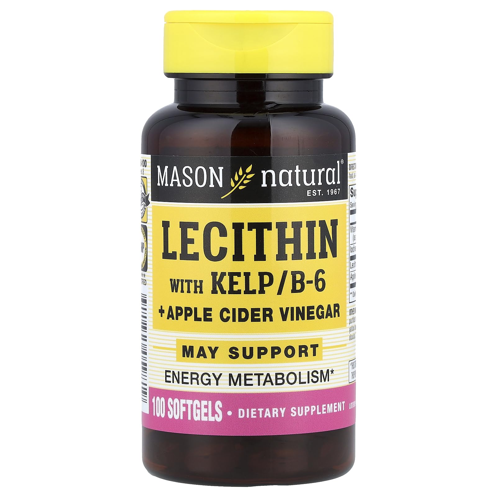 MASON NATURAL Lecithin with KELP, B 6 Plus Cider Vinegar Ginger 100 Count (Pack of 1)
