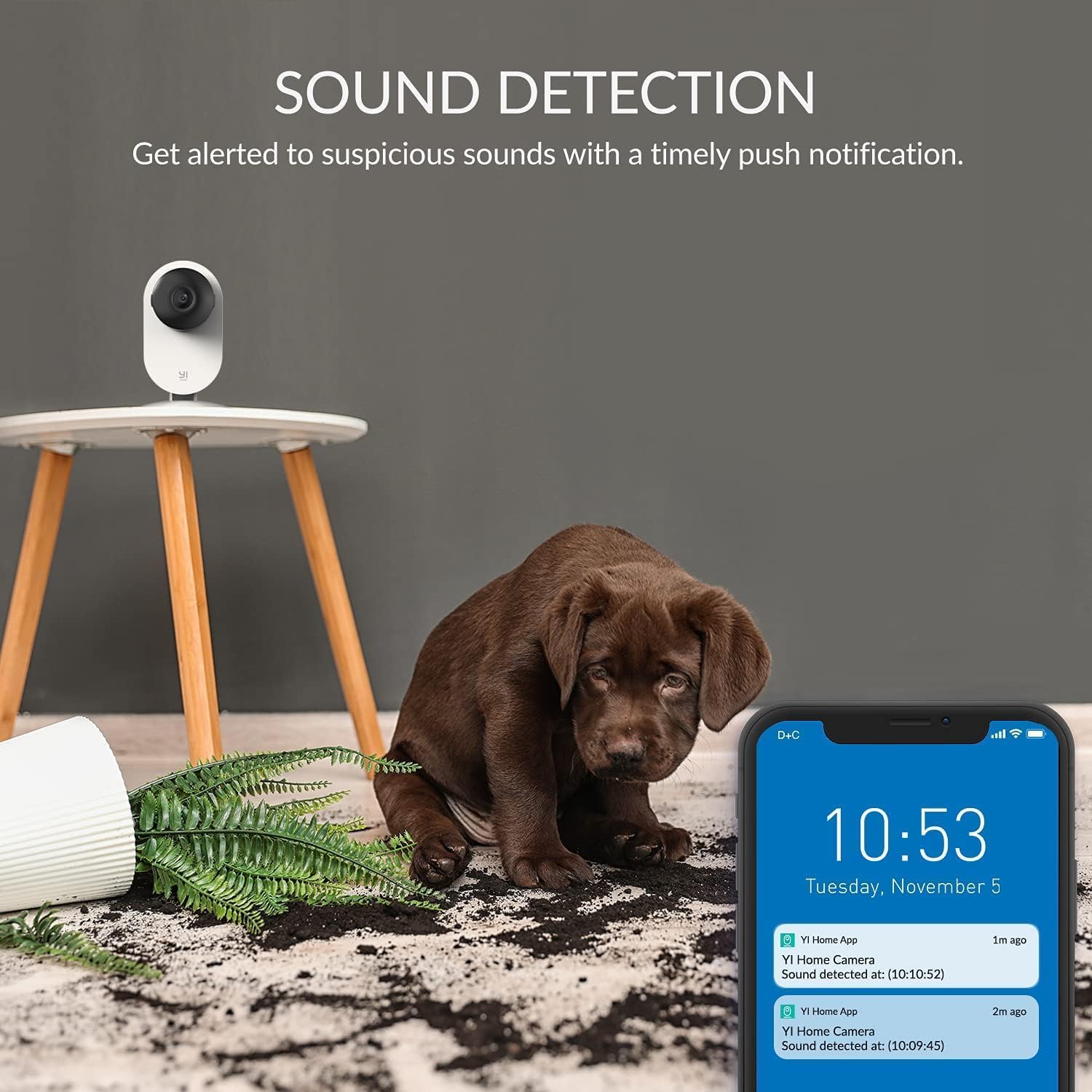YI Pro 2K,Ip Kamera WiFi Überwachungskamera mit Bewegungserkennung, Push-Benachrichtigung,Nachtsichtfunktion, 2-Wege-Audio für Babys/Haustiere